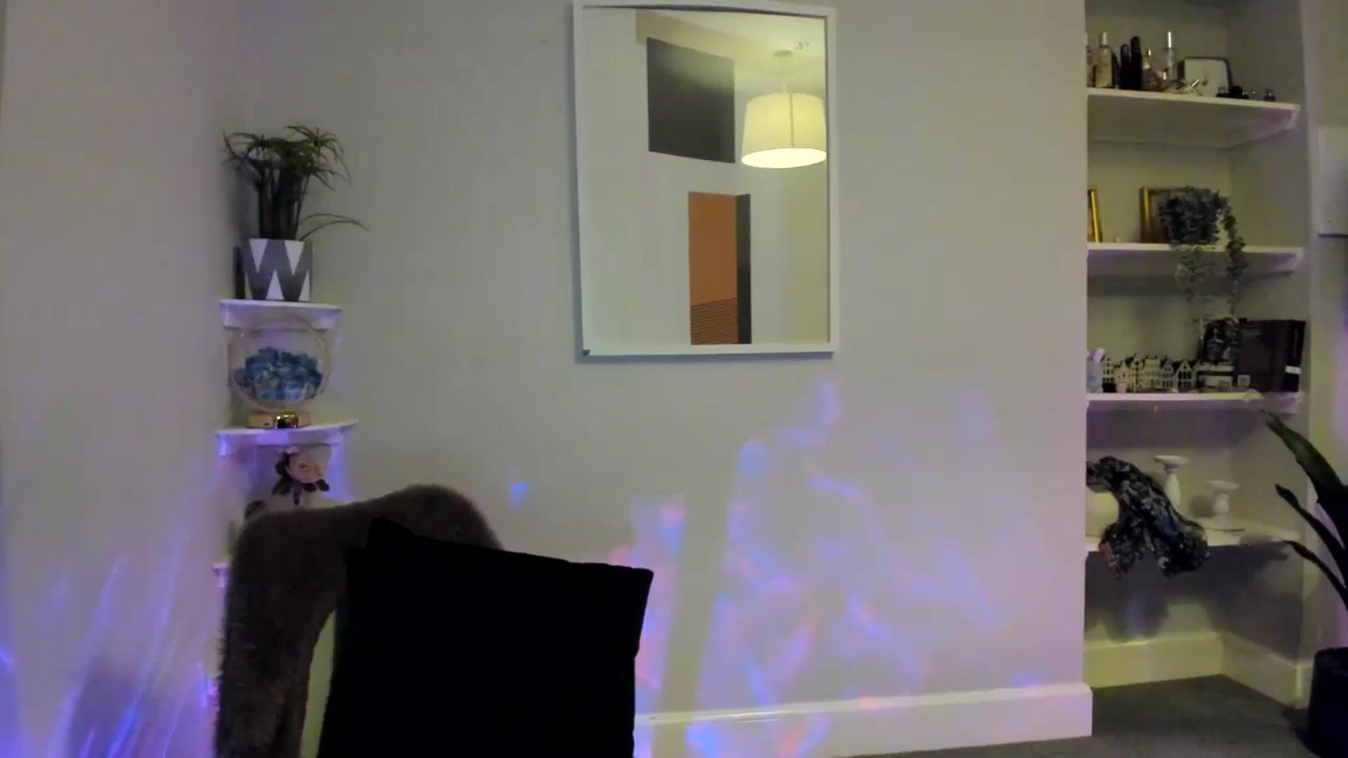 Gallery image thumbnail from British_Cutie's myfreecams stream on, 03/02/2026, 22:09 image 4 of 20