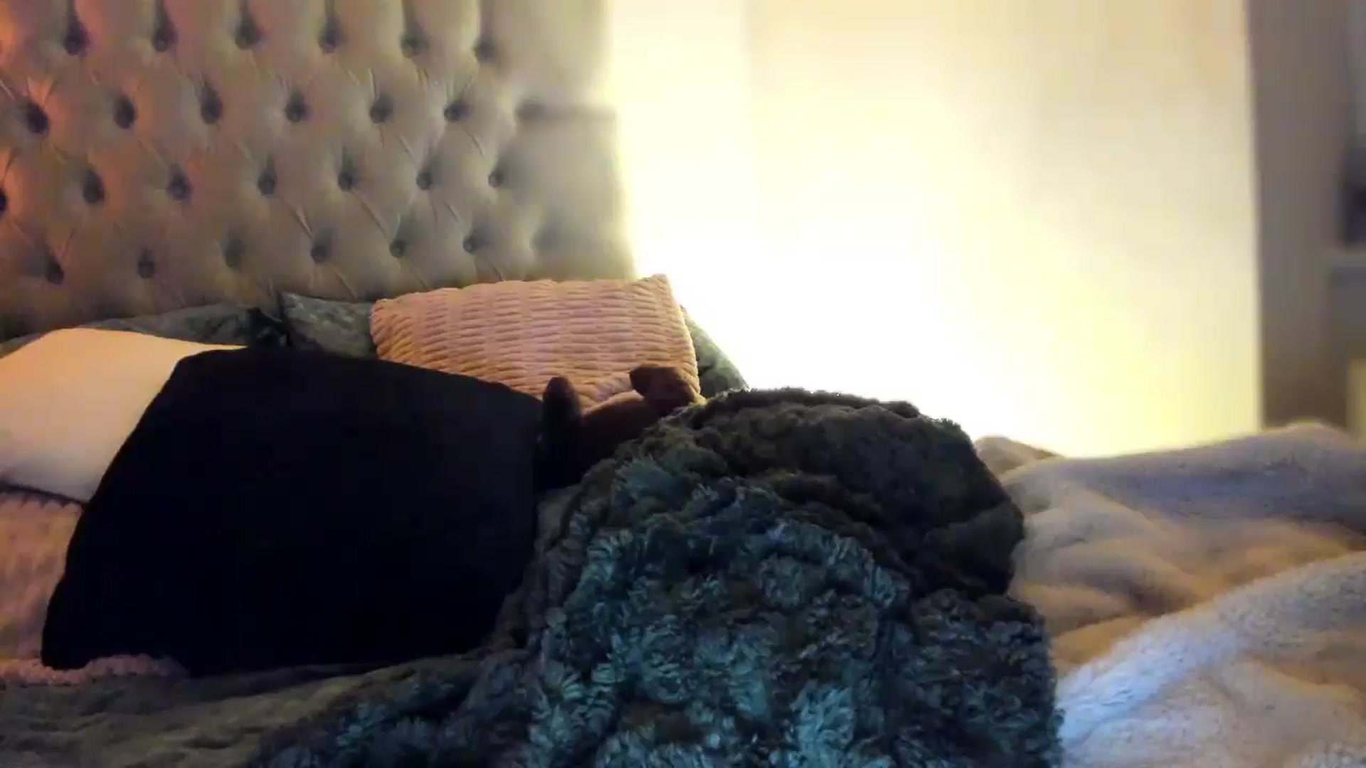 Gallery image thumbnail from British_Cutie's myfreecams stream on, 03/07/2026, 22:41 image 12 of 20