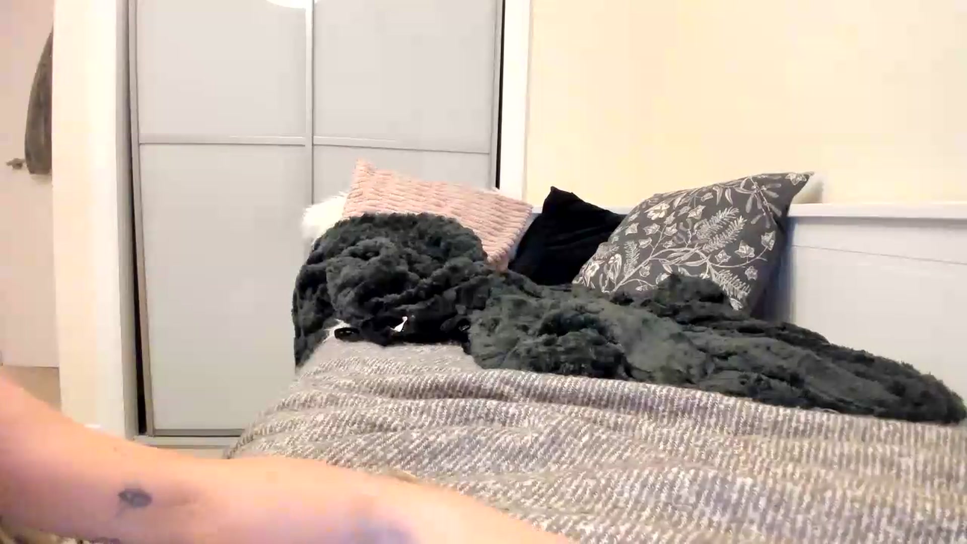 Gallery image thumbnail from British_Cutie's myfreecams stream on, 08/22/2026, 19:24 image 17 of 20