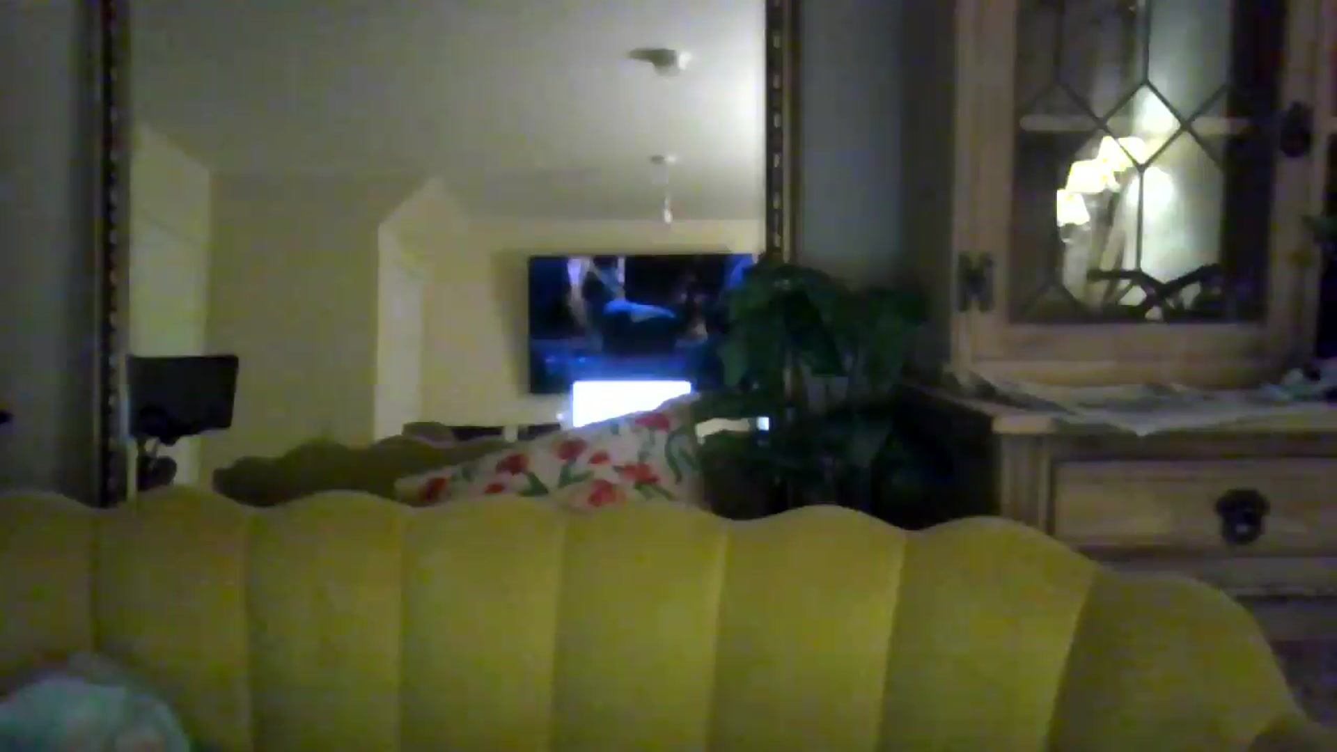 Gallery image thumbnail from British_chick's myfreecams stream on, 08/15/2024, 21:54 image 18 of 20