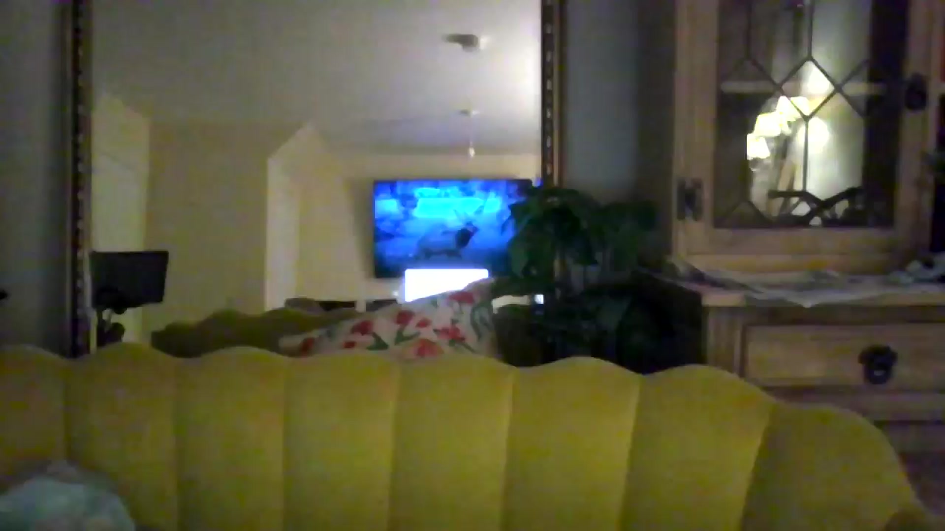 Gallery image thumbnail from British_chick's myfreecams stream on, 08/15/2024, 21:54 image 16 of 20
