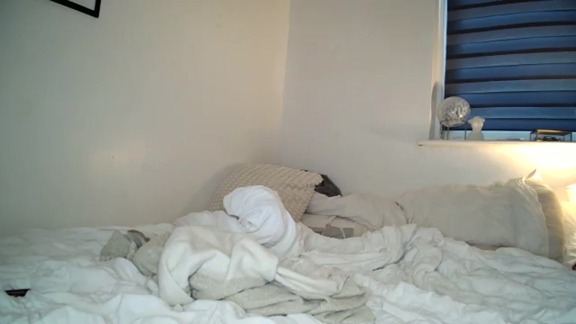 Gallery image thumbnail from Britishbabyx's myfreecams stream on, 12/15/2023, 14:57 image 14 of 20