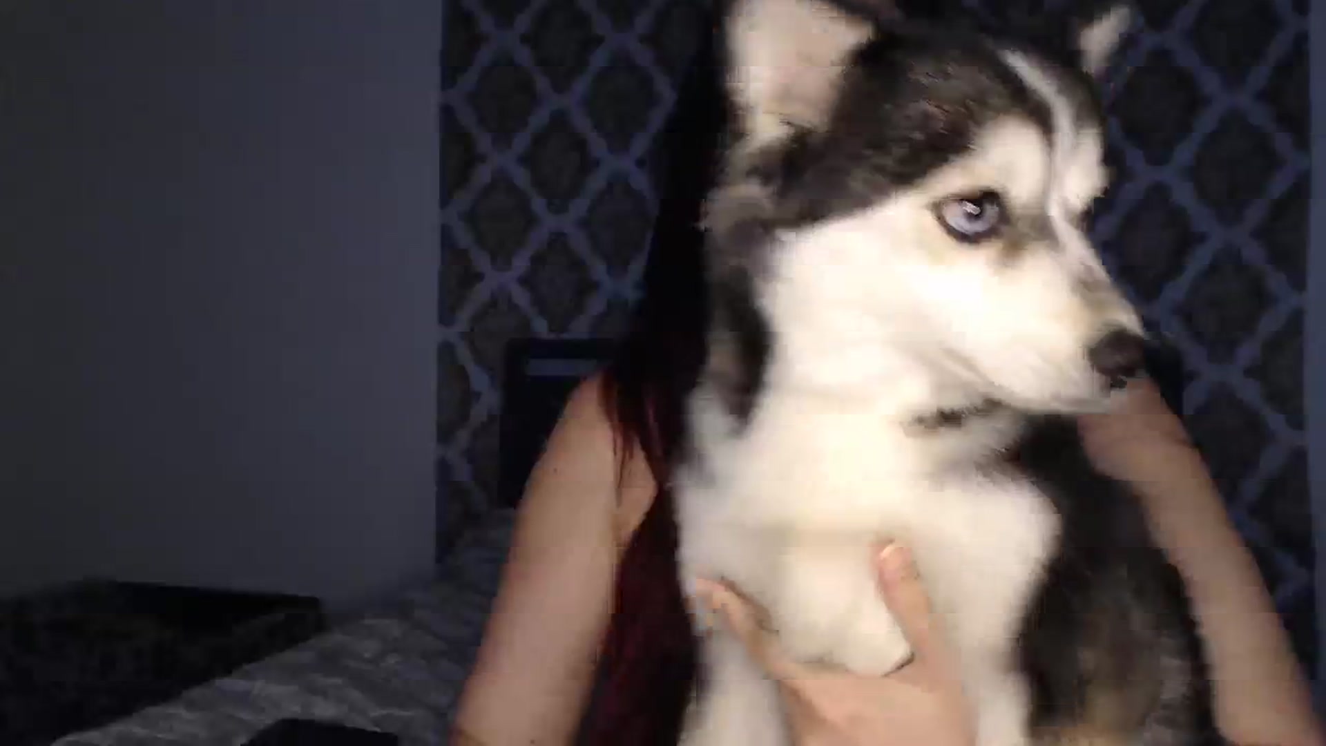 Gallery image thumbnail from BritneyButts's myfreecams stream on, 09/12/2023, 20:41 image 18 of 20