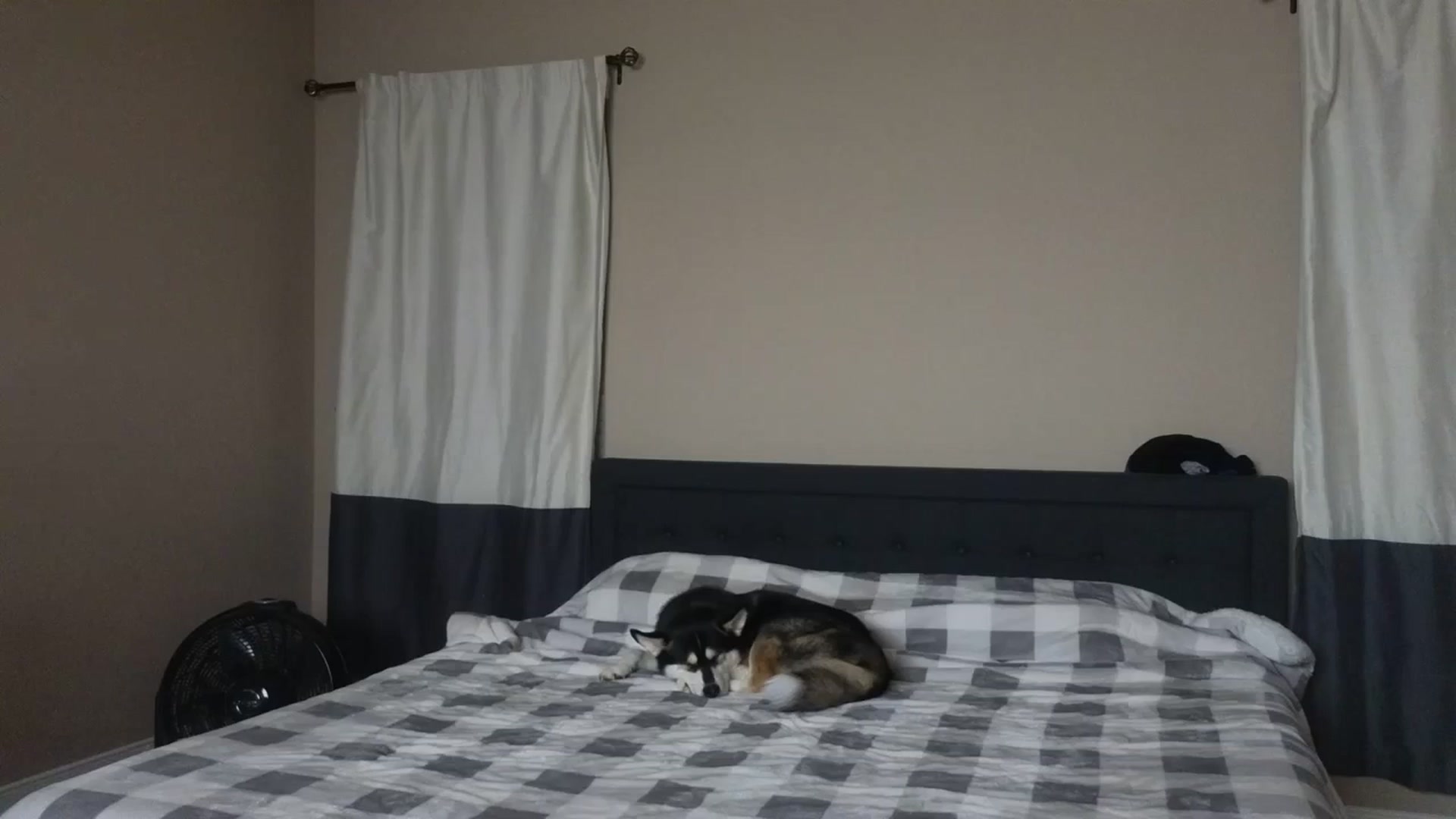 Gallery image thumbnail from BritneyButts's myfreecams stream on, 12/30/2023, 06:15 image 3 of 20