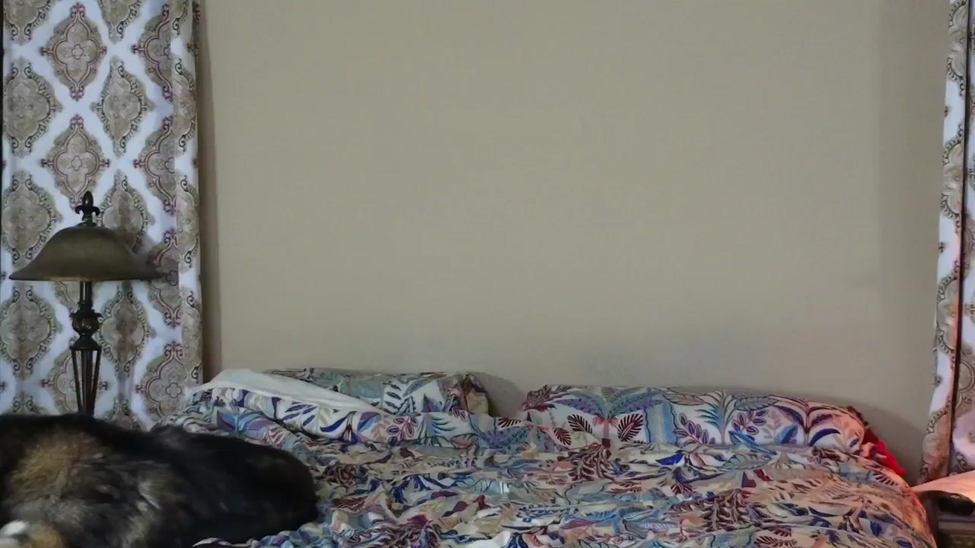 Gallery image thumbnail from BritneyButts's myfreecams stream on, 04/26/2024, 21:08 image 8 of 20