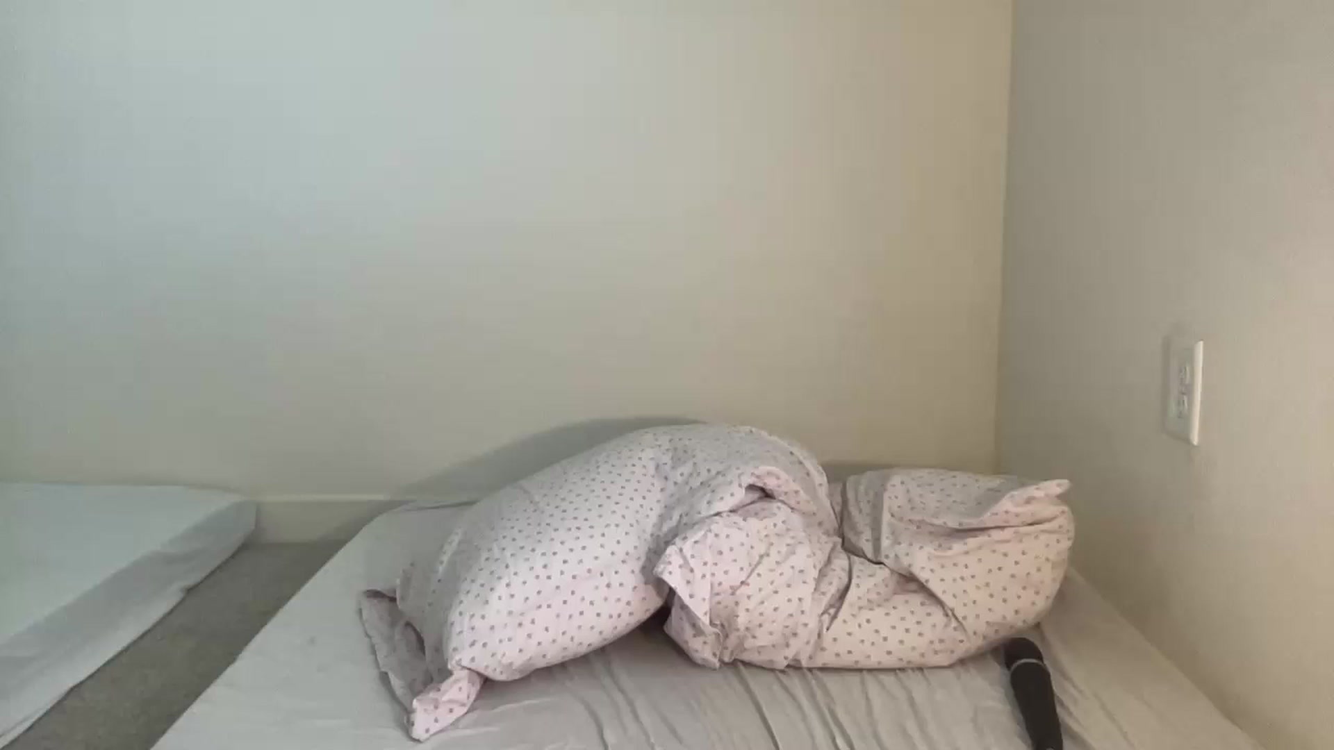 Gallery image thumbnail from BritneyMonroe's myfreecams stream on, 06/28/2023, 18:34 image 19 of 20