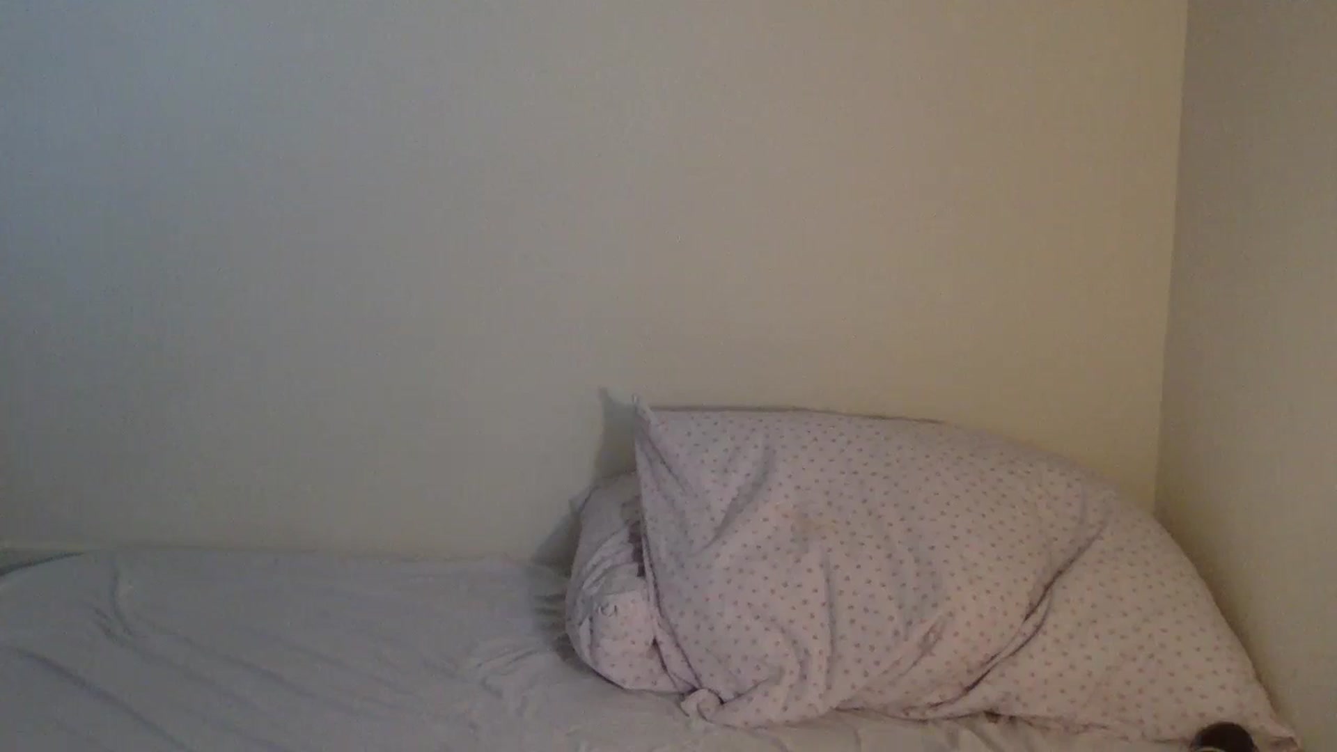 Gallery image thumbnail from BritneyMonroe's myfreecams stream on, 08/24/2023, 22:30 image 18 of 20