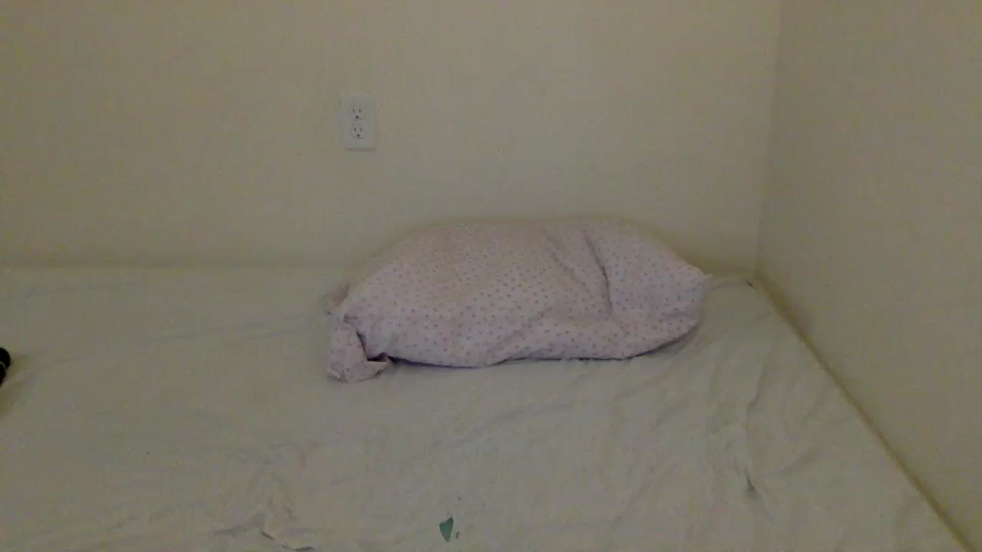 Gallery image thumbnail from BritneyMonroe's myfreecams stream on, 09/11/2023, 05:03 image 13 of 20