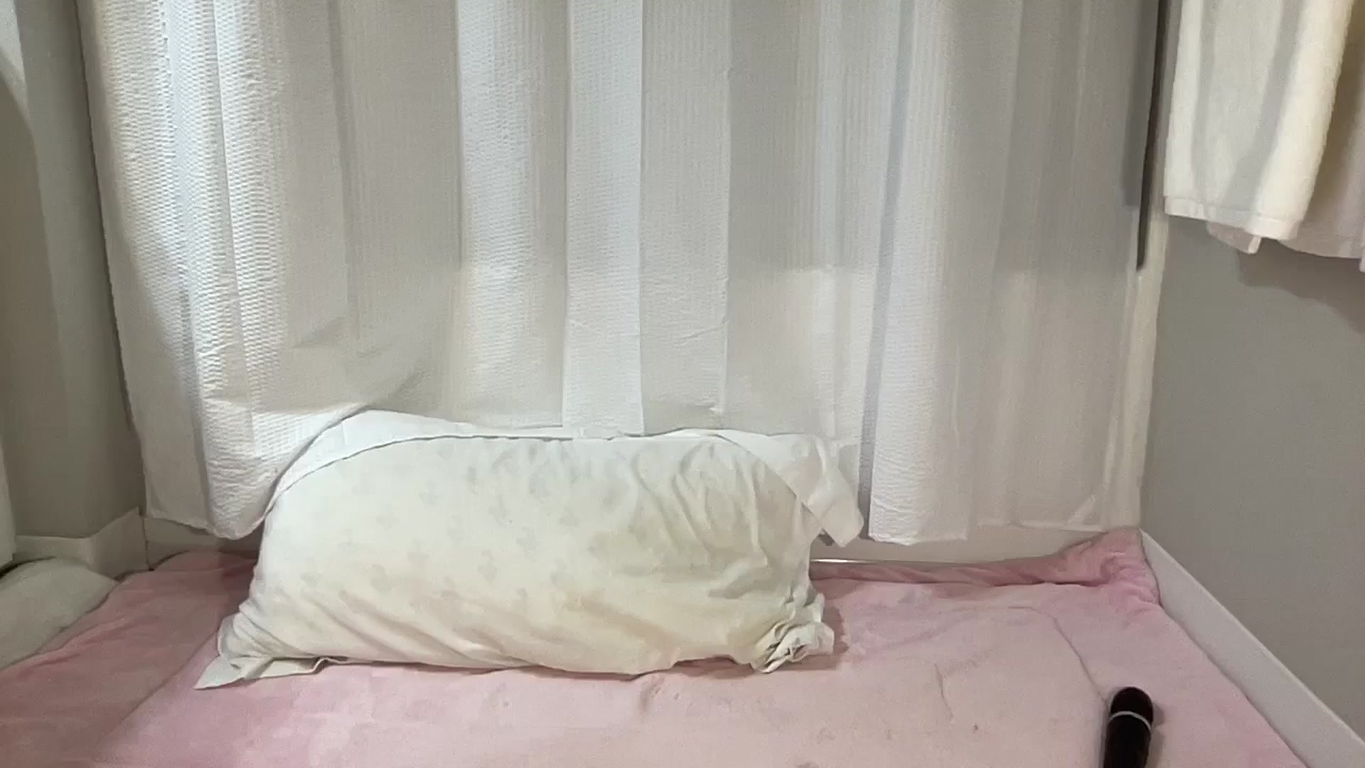 Gallery image thumbnail from BritneyMonroe's myfreecams stream on, 05/31/2025, 05:32 image 20 of 20