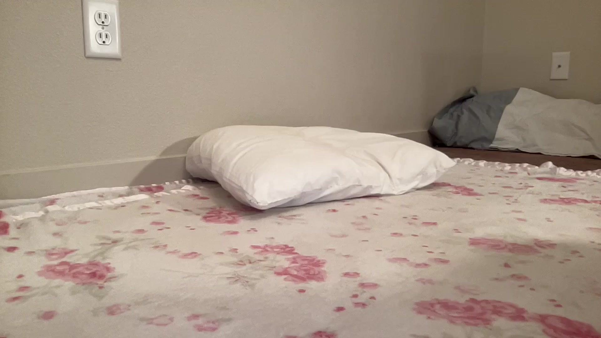 Gallery image thumbnail from BritneyMonroe's myfreecams stream on, 02/01/2026, 24:58 image 1 of 20