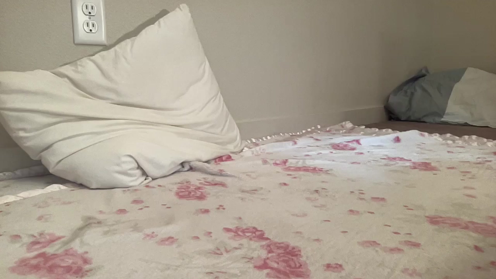 Gallery image thumbnail from BritneyMonroe's myfreecams stream on, 02/12/2026, 21:41 image 7 of 20