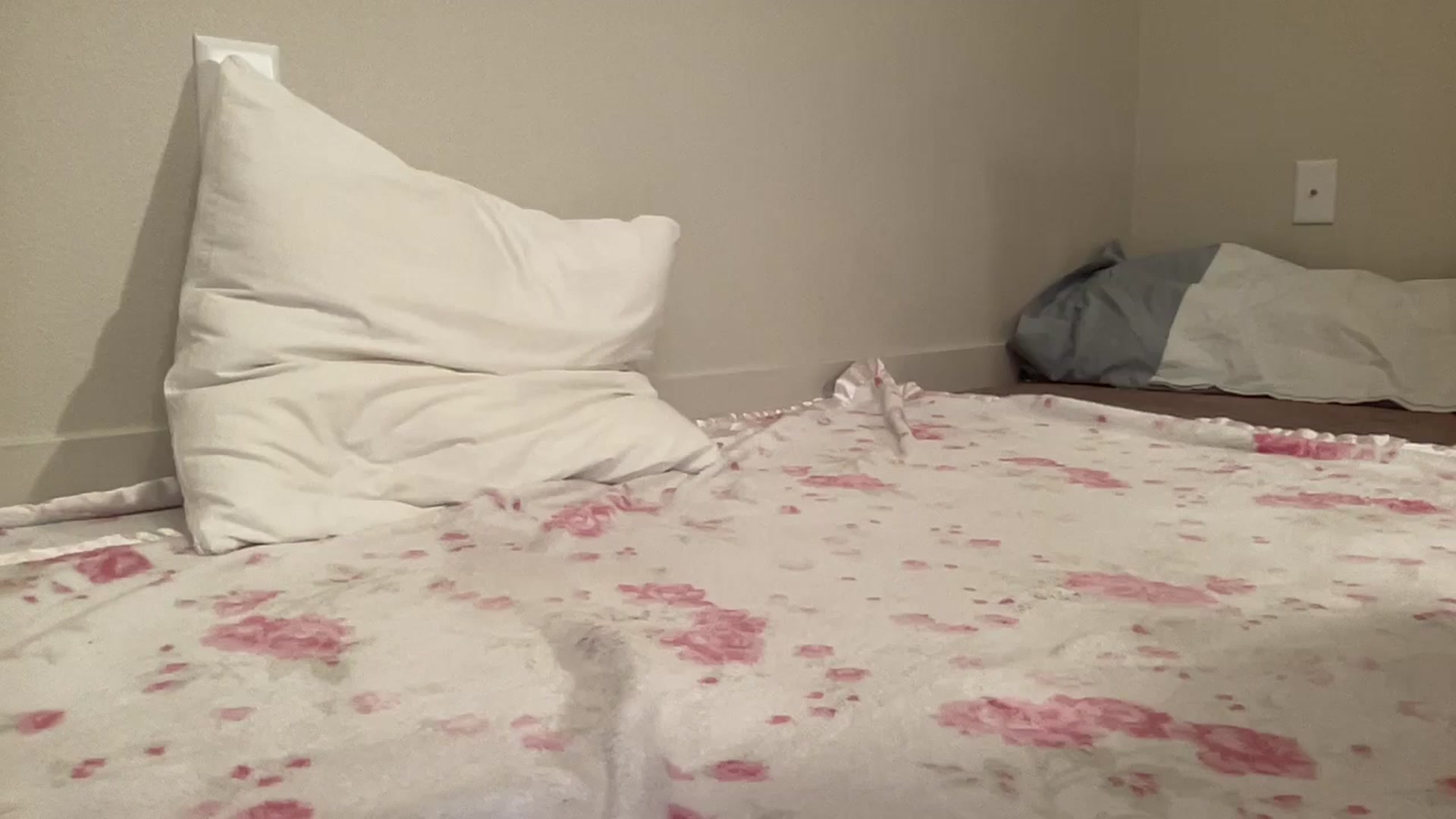 Gallery image thumbnail from BritneyMonroe's myfreecams stream on, 02/14/2026, 04:28 image 2 of 20