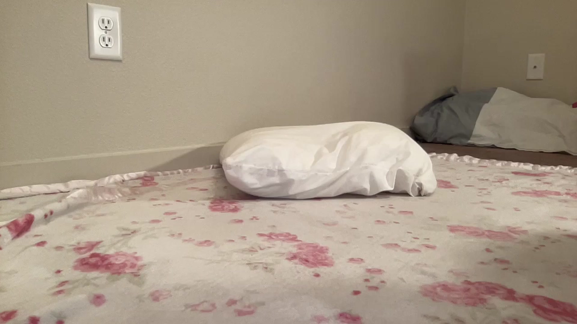 Gallery image thumbnail from BritneyMonroe's myfreecams stream on, 03/05/2026, 05:40 image 14 of 20