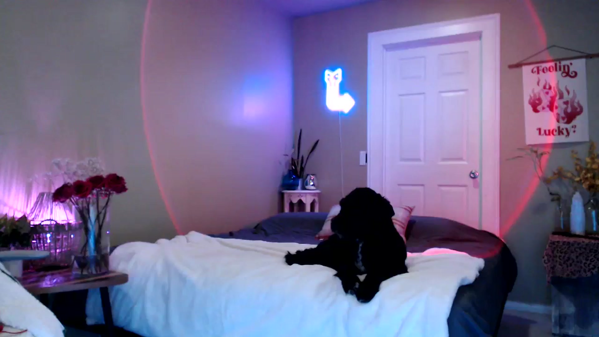 Gallery image thumbnail from BrittaniJade_'s myfreecams stream on, 08/05/2023, 05:18 image 14 of 20