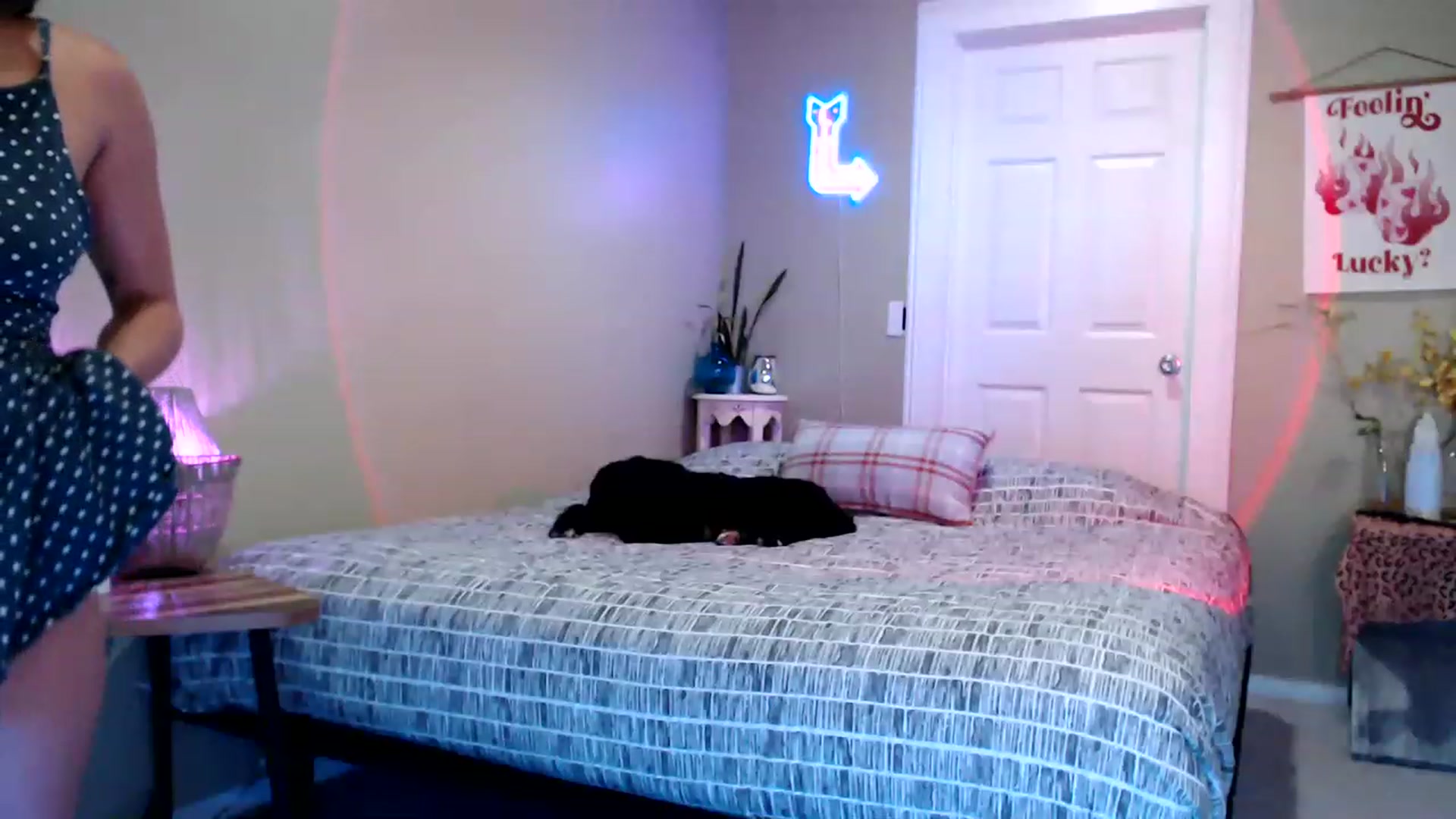 Gallery image thumbnail from BrittaniJade_'s myfreecams stream on, 08/06/2023, 04:18 image 11 of 20