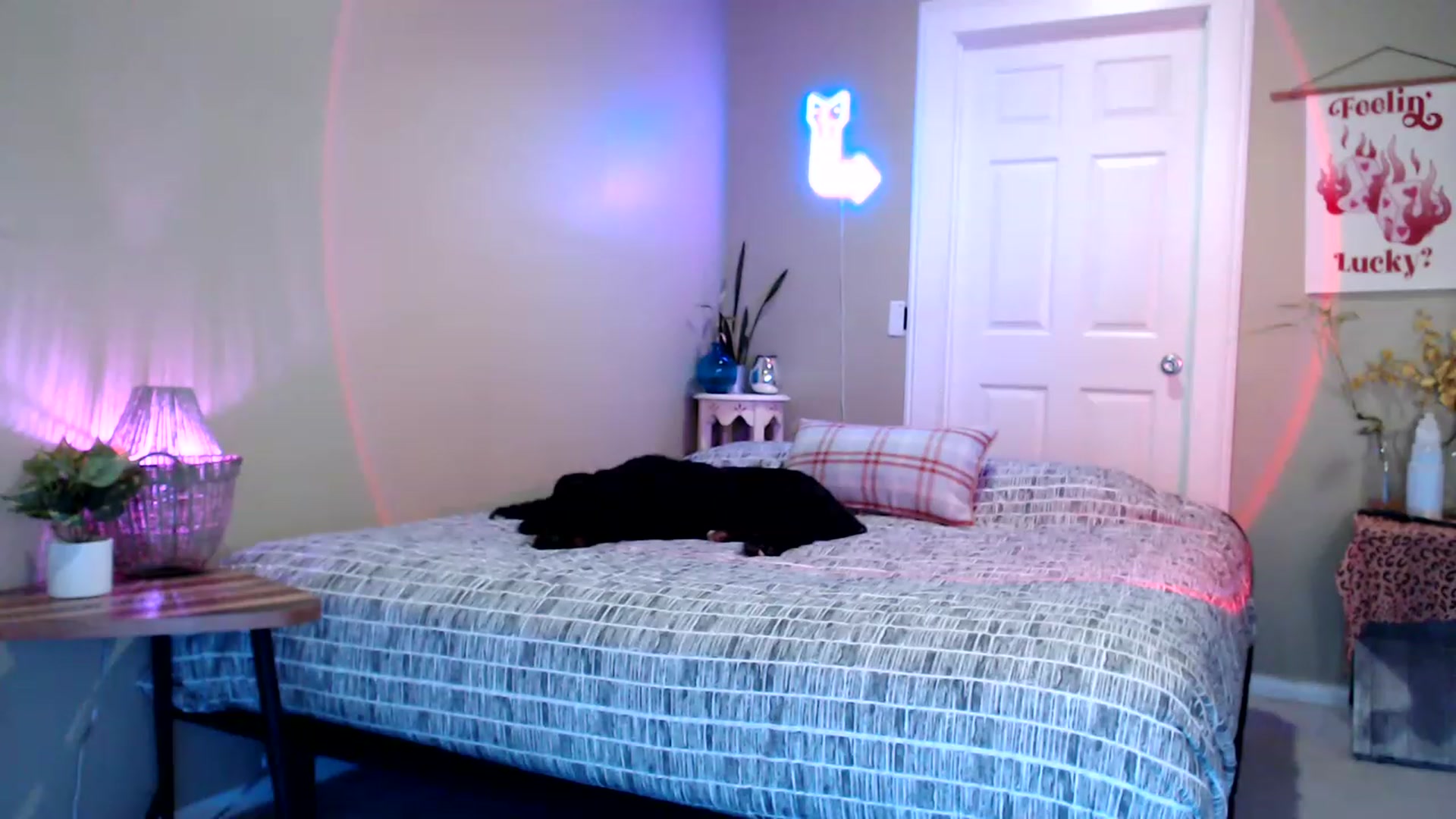 Gallery image thumbnail from BrittaniJade_'s myfreecams stream on, 08/06/2023, 04:18 image 9 of 20