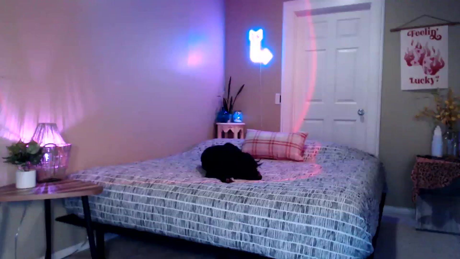 Gallery image thumbnail from BrittaniJade_'s myfreecams stream on, 08/07/2023, 03:36 image 8 of 20