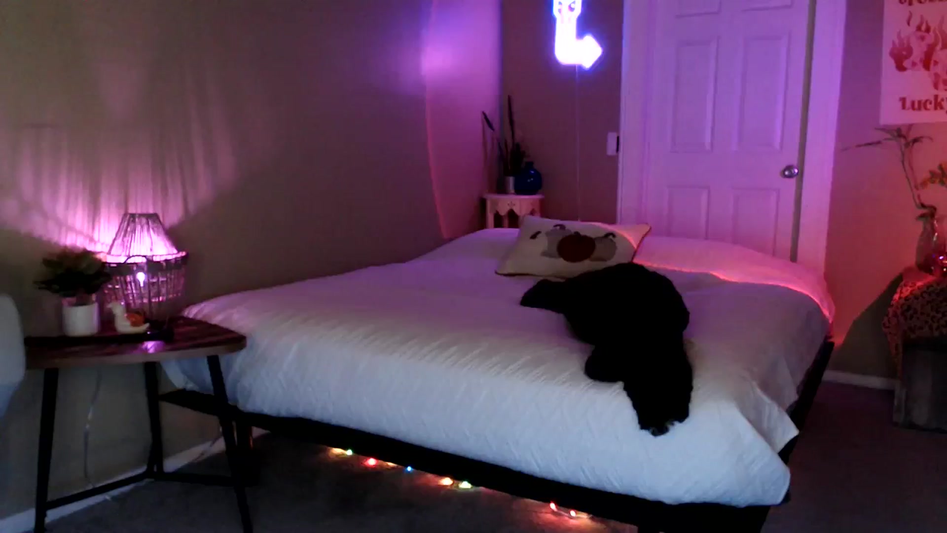 Gallery image thumbnail from BrittaniJade_'s myfreecams stream on, 08/12/2023, 04:02 image 19 of 20