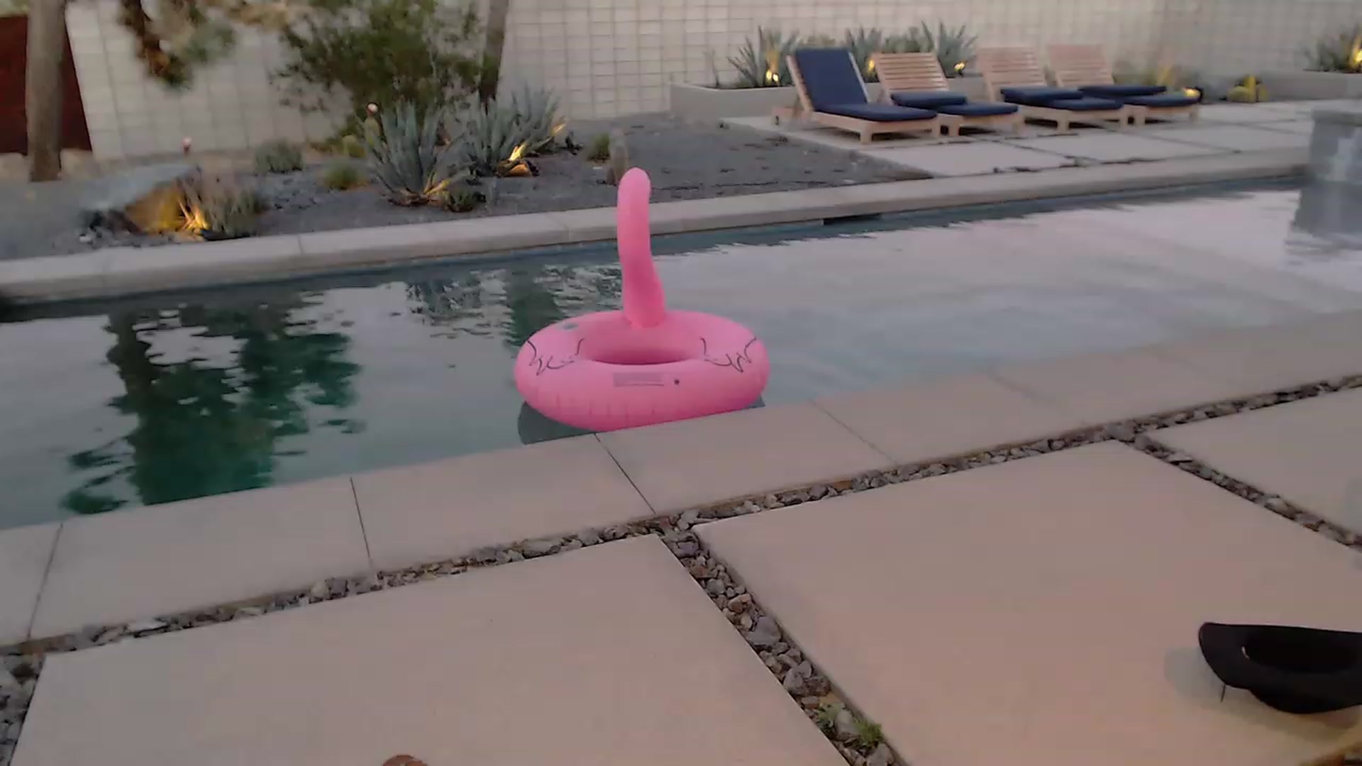 Gallery image thumbnail from BrittaniJade_'s myfreecams stream on, 08/30/2023, 02:40 image 18 of 20