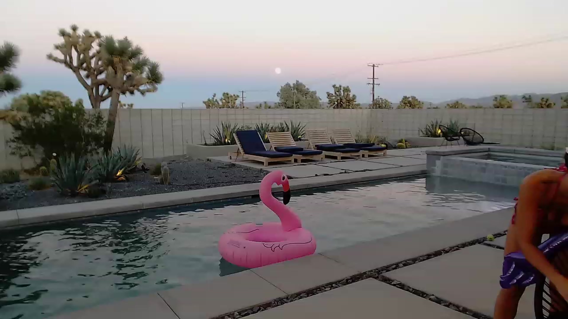 Gallery image thumbnail from BrittaniJade_'s myfreecams stream on, 08/30/2023, 02:40 image 15 of 20