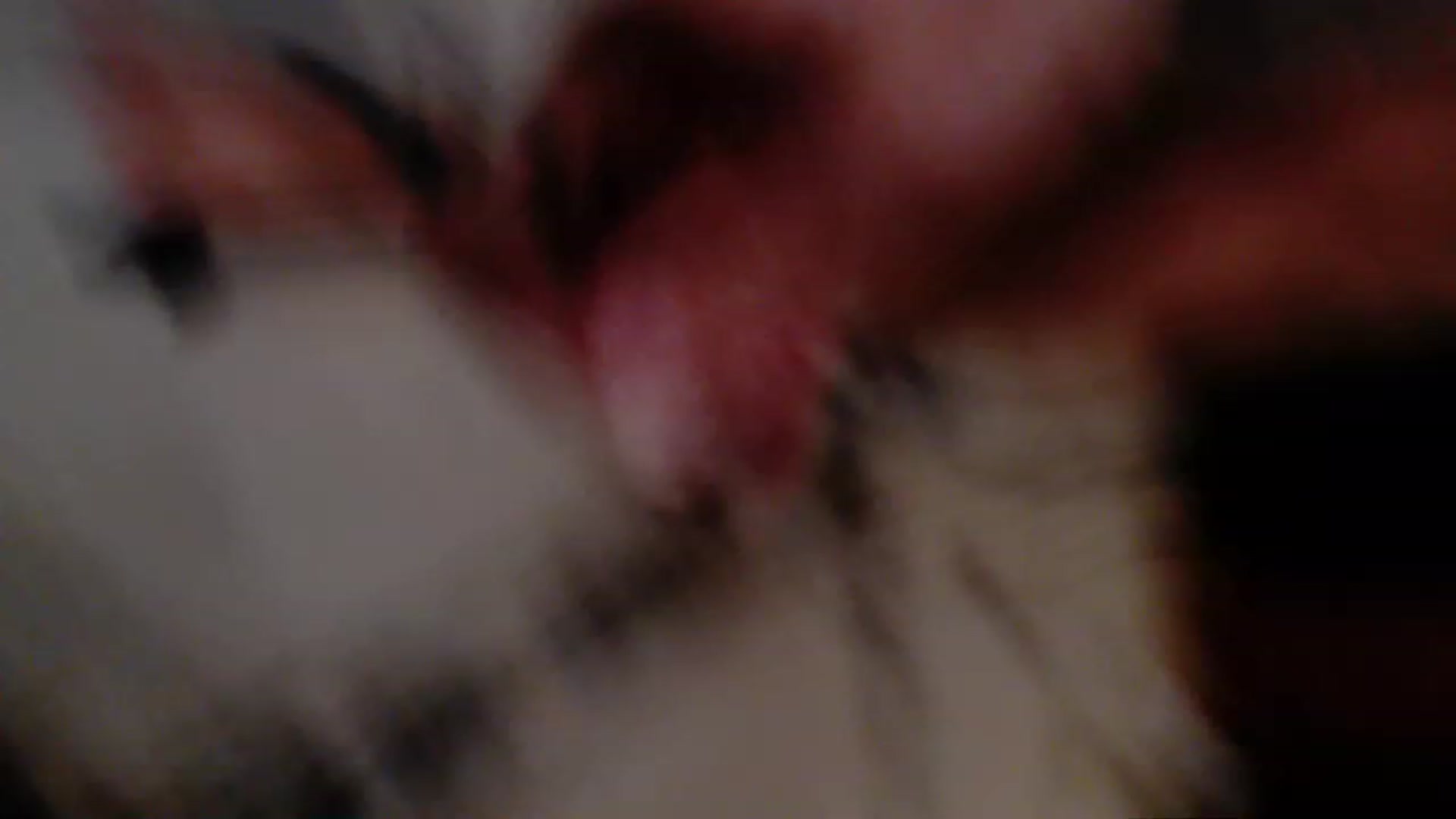 Gallery image thumbnail from BrittaniJade_'s myfreecams stream on, 08/30/2023, 05:25 image 3 of 20