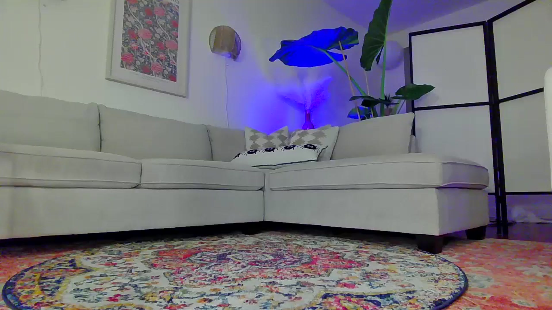 Gallery image thumbnail from BrittaniJade_'s myfreecams stream on, 10/05/2024, 07:19 image 11 of 20