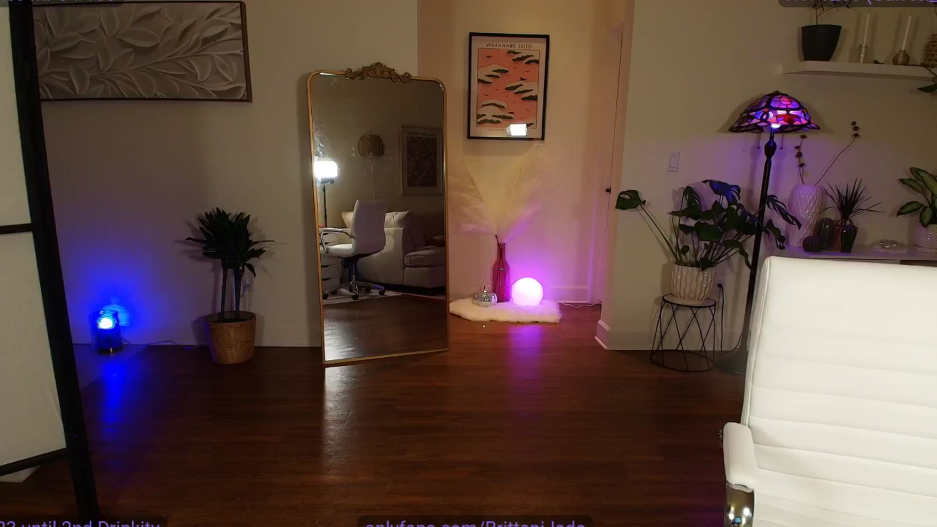 Gallery image thumbnail from BrittaniJade_'s myfreecams stream on, 11/24/2024, 08:42 image 14 of 20
