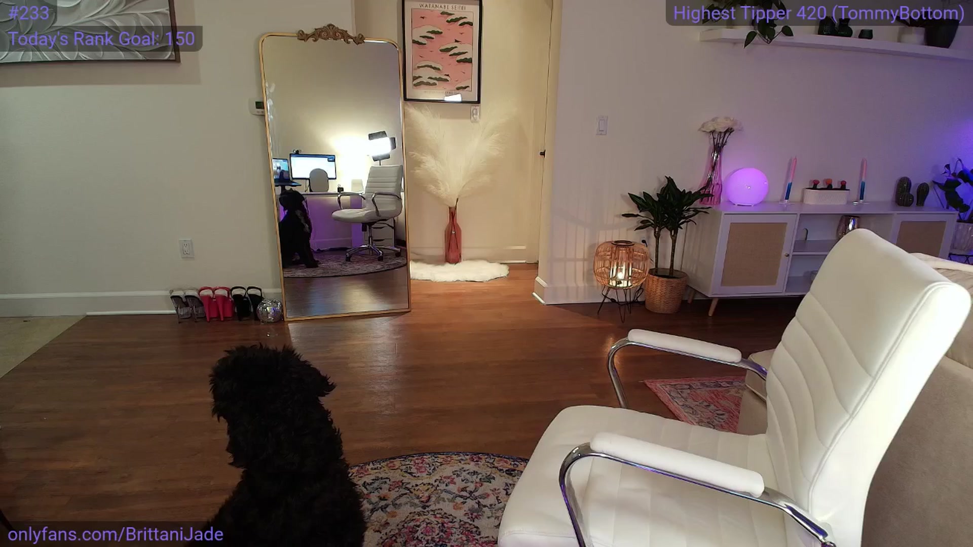 Gallery image thumbnail from BrittaniJade_'s myfreecams stream on, 03/11/2025, 07:18 image 3 of 20