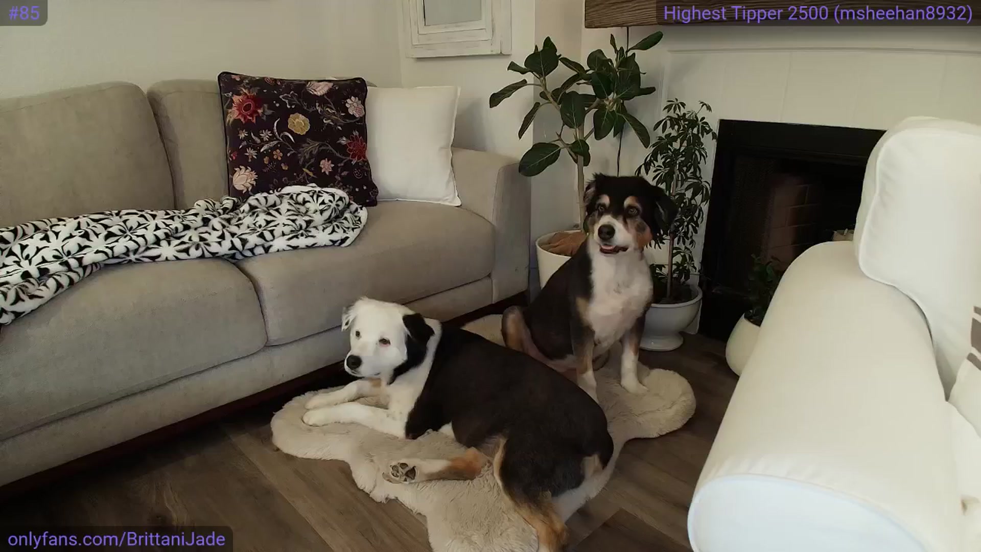 Gallery image thumbnail from BrittaniJade_'s myfreecams stream on, 04/10/2025, 02:54 image 10 of 20