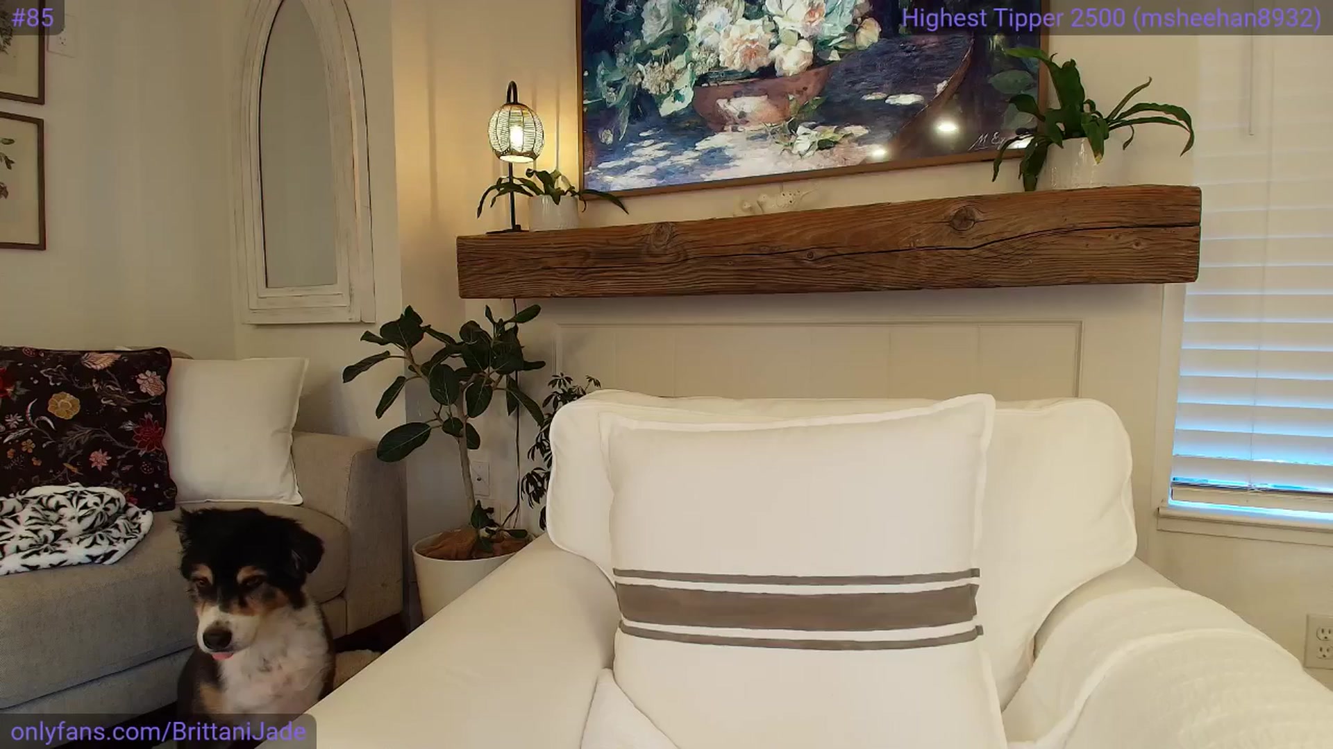 Gallery image thumbnail from BrittaniJade_'s myfreecams stream on, 04/10/2025, 02:54 image 7 of 20