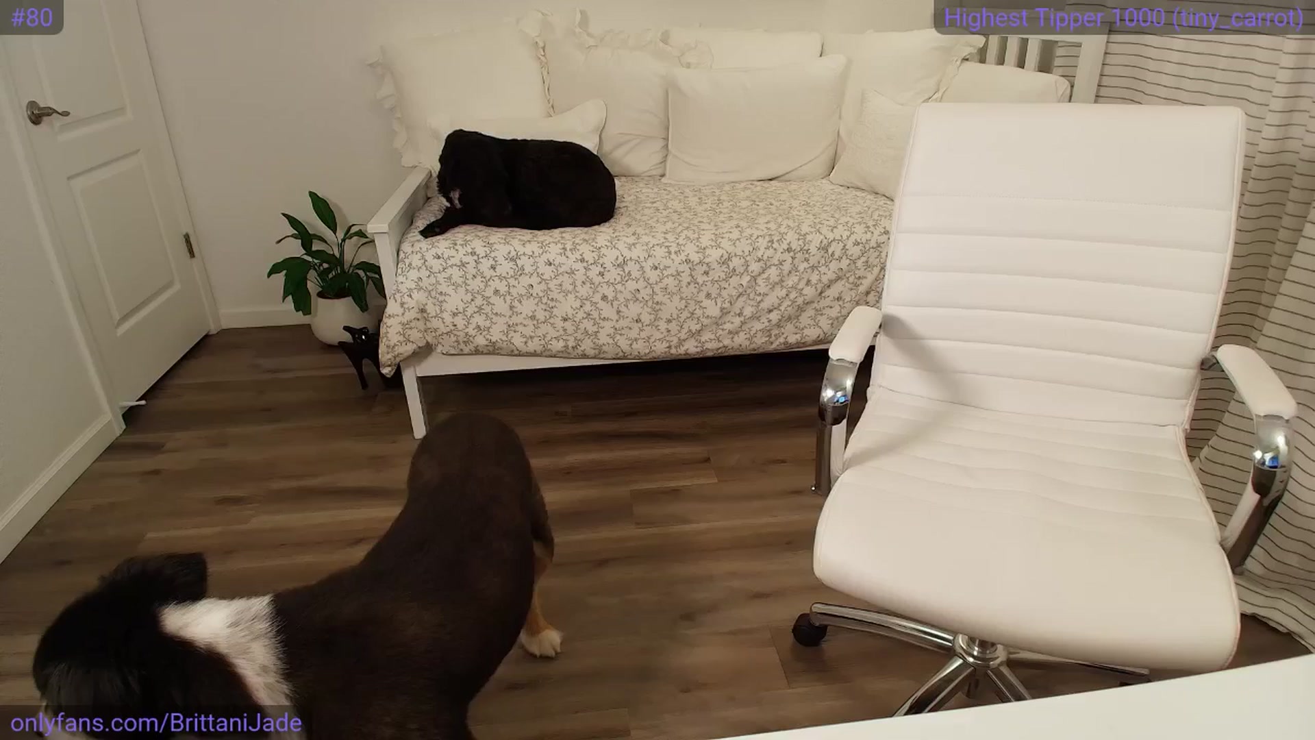 Gallery image thumbnail from BrittaniJade_'s myfreecams stream on, 04/16/2025, 08:12 image 5 of 20