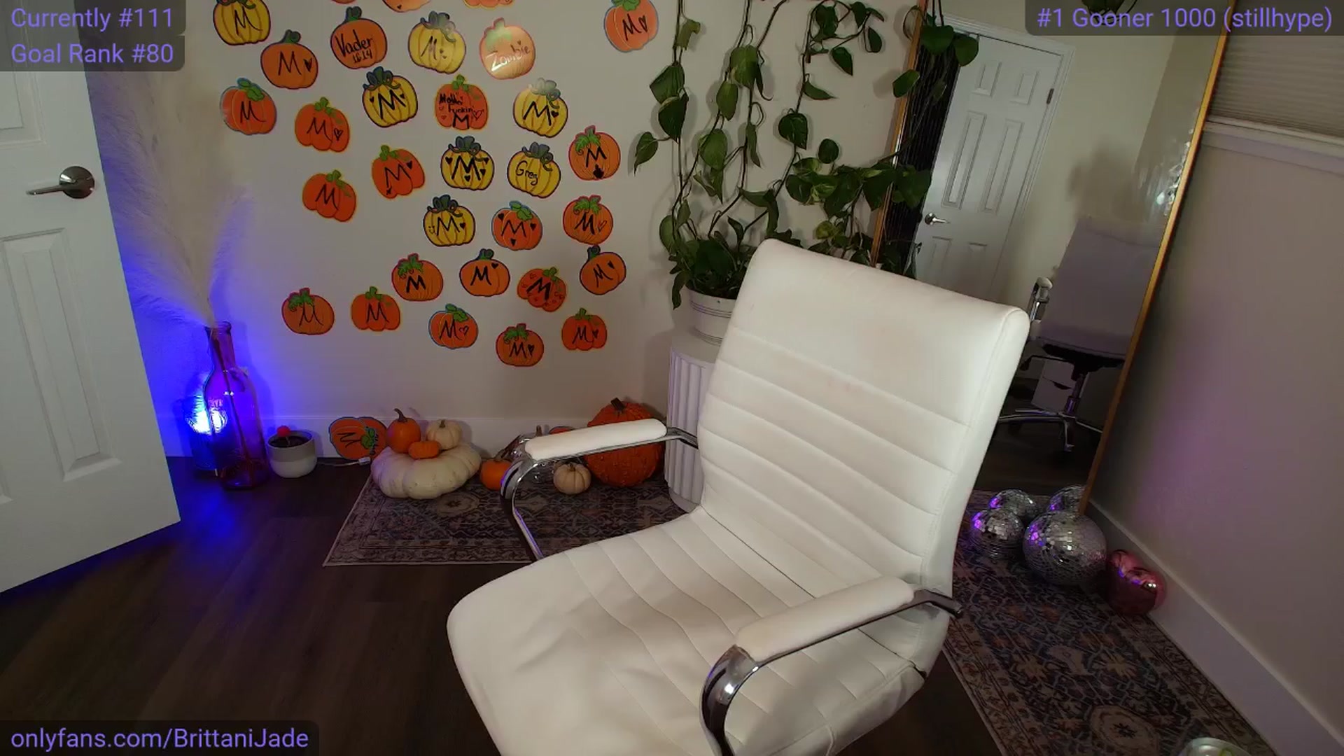 Gallery image thumbnail from BrittaniJade_'s myfreecams stream on, 11/01/2025, 06:50 image 19 of 20