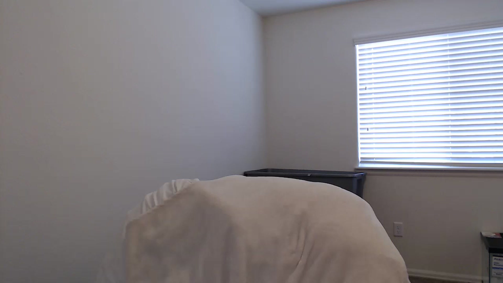 Gallery image thumbnail from Brittannybaby's myfreecams stream on, 04/17/2023, 01:07 image 9 of 20