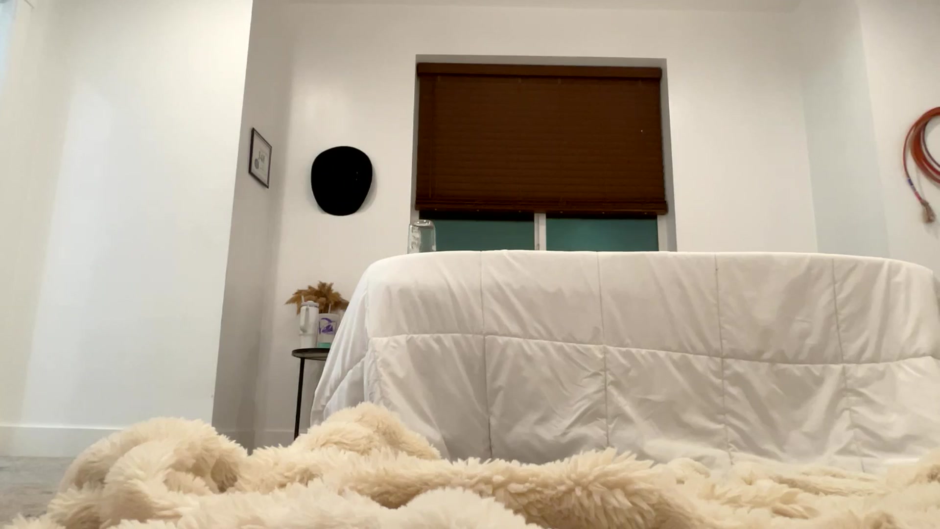 Gallery image thumbnail from Brittneyyyy's myfreecams stream on, 04/28/2025, 05:59 image 14 of 20