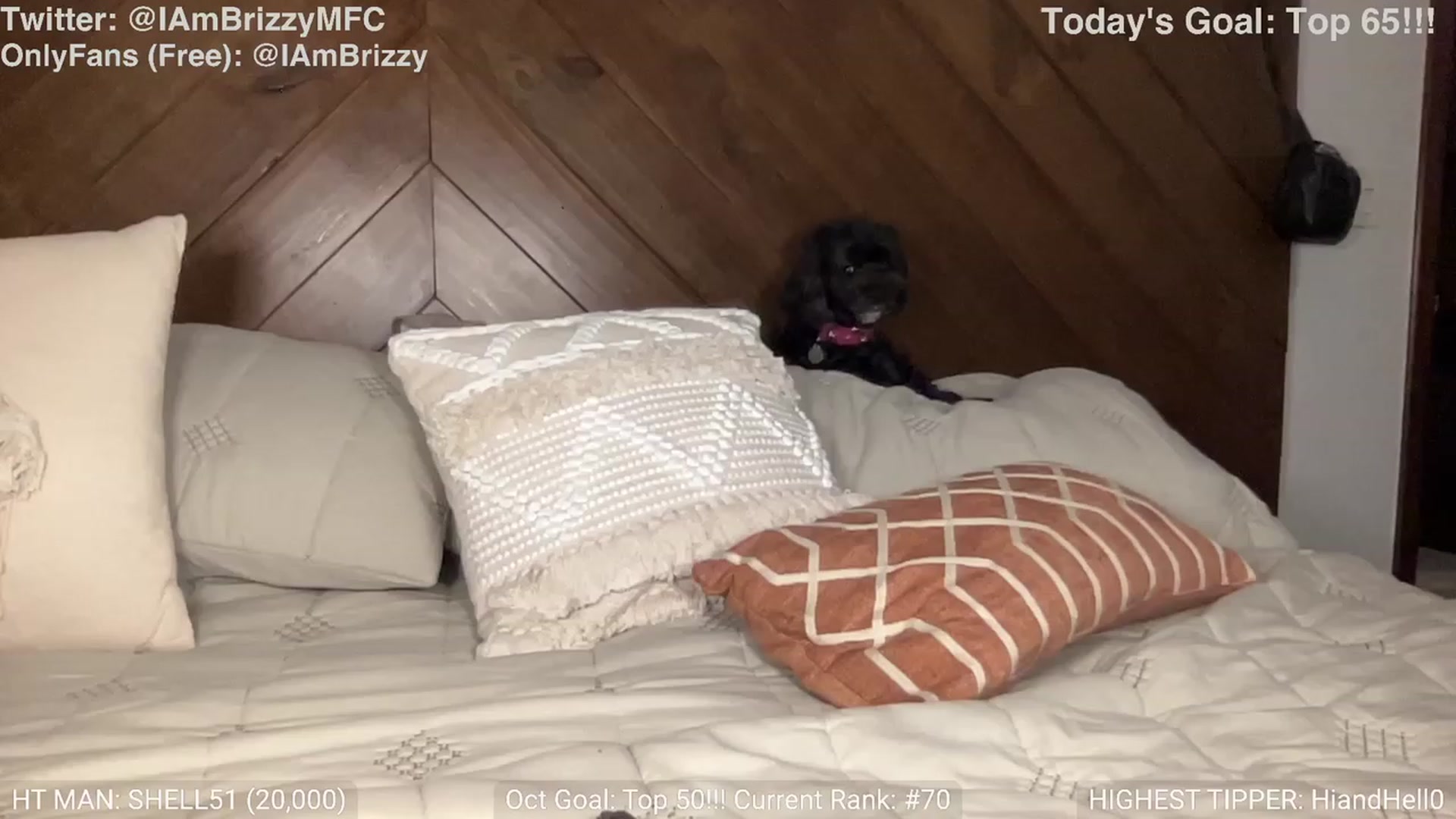 Gallery image thumbnail from Brizzy's myfreecams stream on, 10/17/2023, 04:41 image 7 of 20