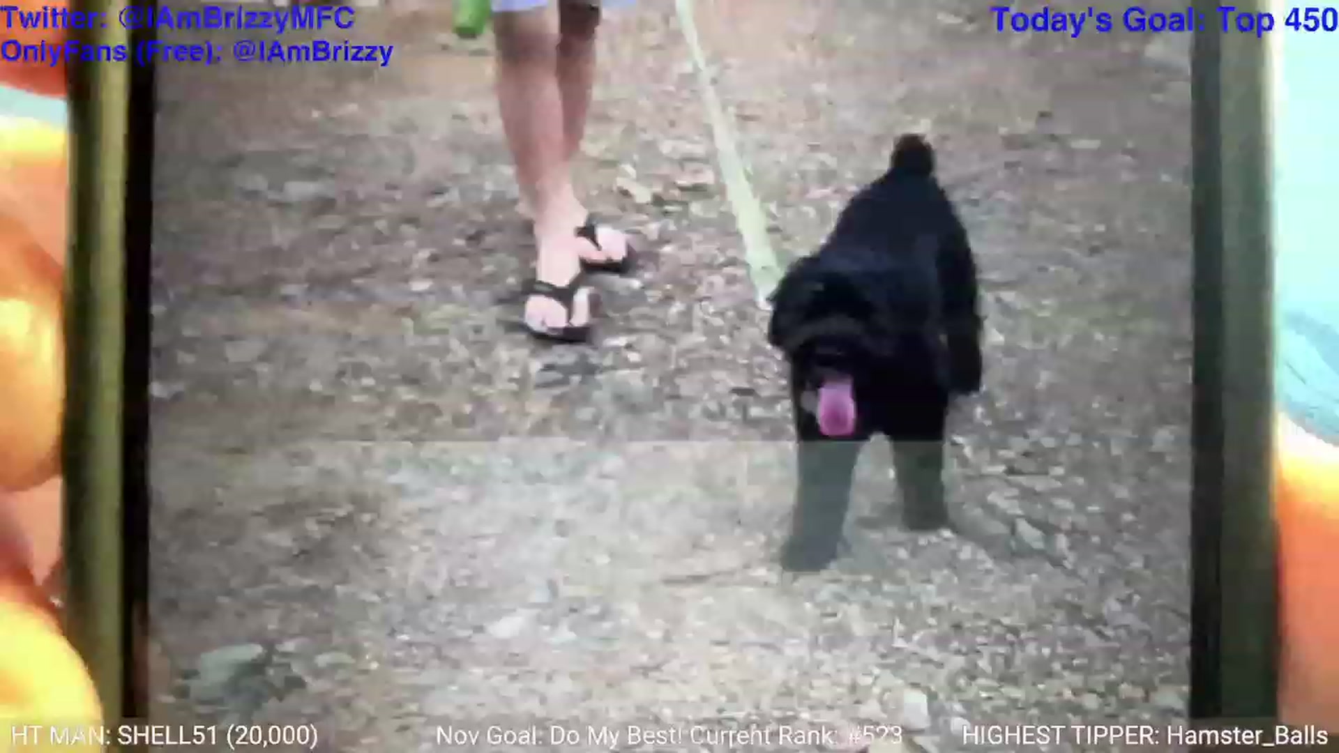 Gallery image thumbnail from Brizzy's myfreecams stream on, 11/21/2023, 23:07 image 5 of 20