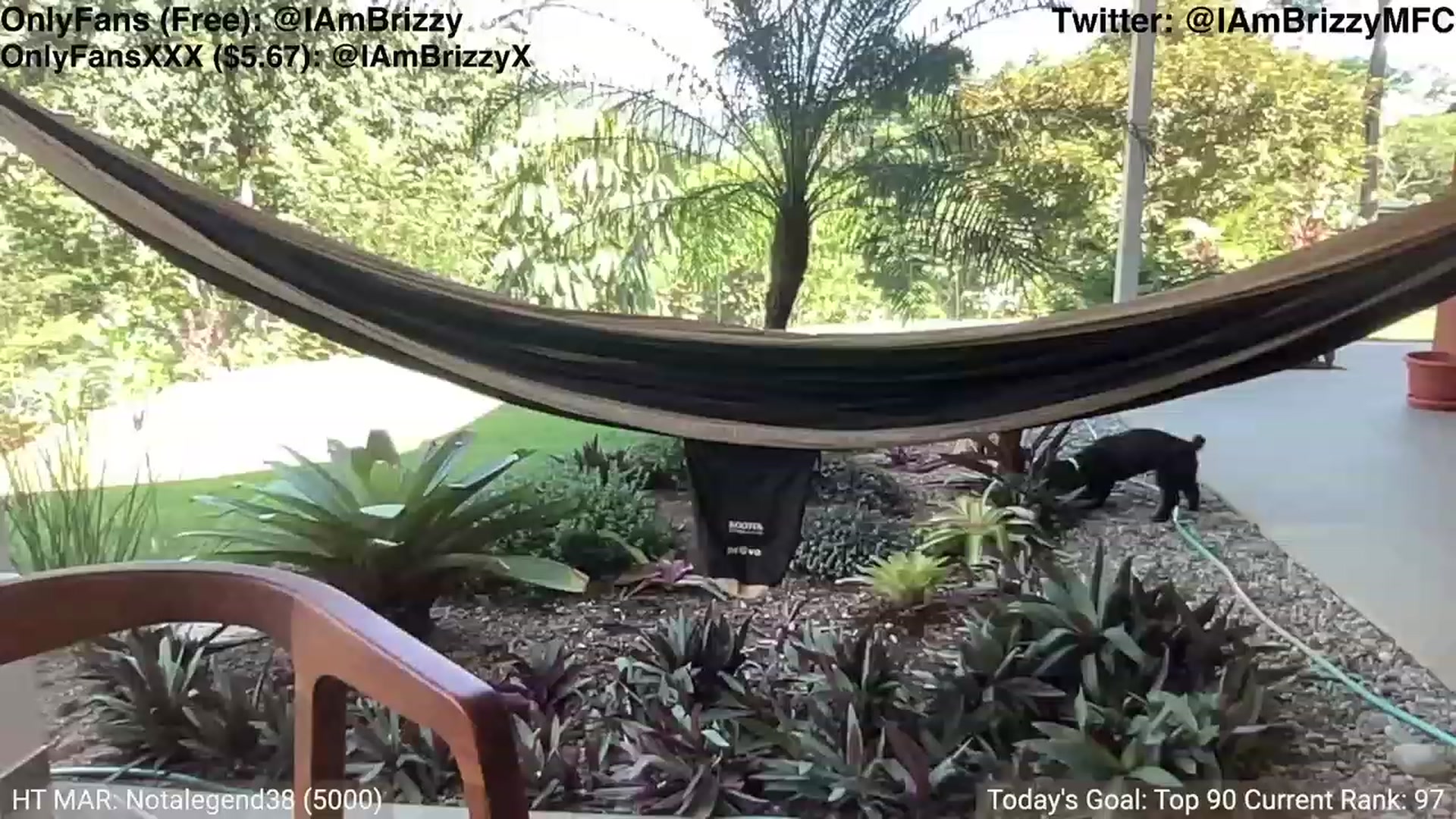 Gallery image thumbnail from Brizzy's myfreecams stream on, 03/04/2024, 21:07 image 13 of 20