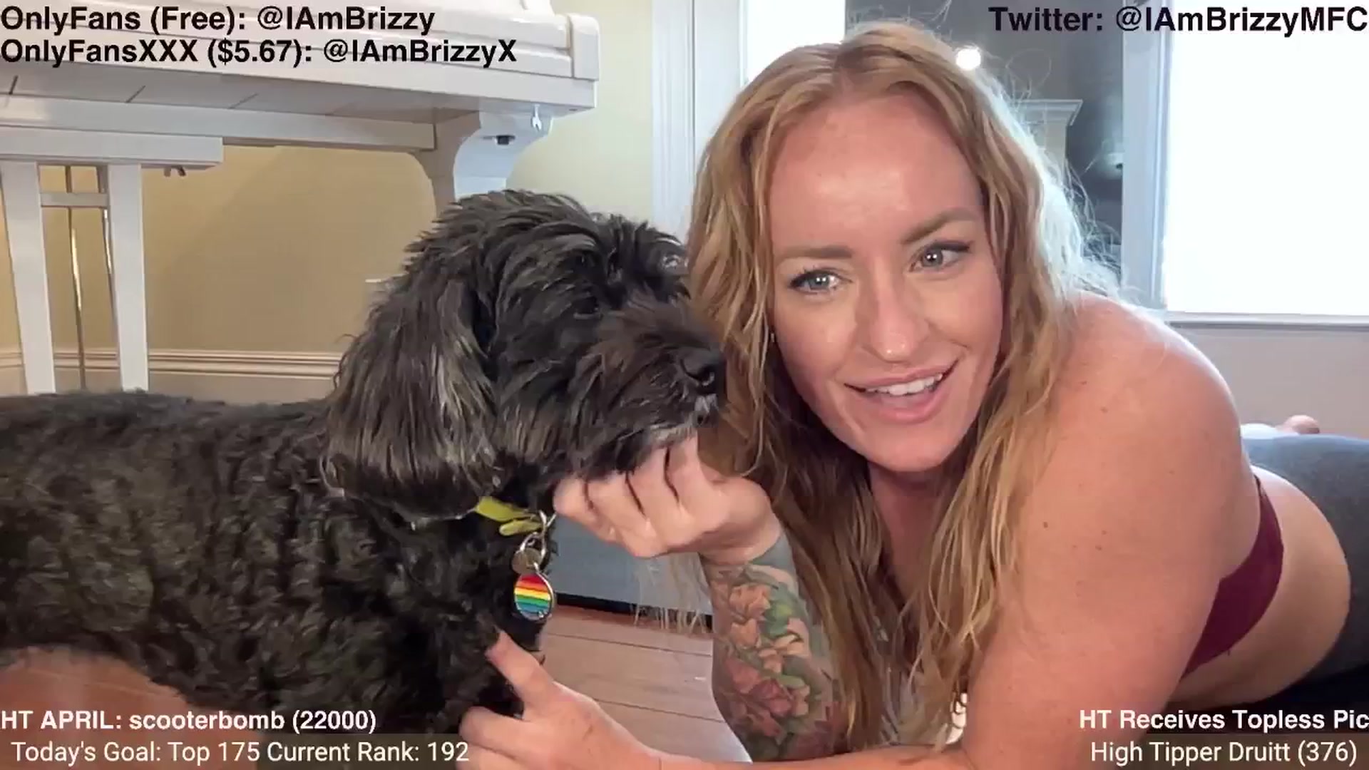 Gallery image thumbnail from Brizzy's myfreecams stream on, 04/20/2024, 18:59 image 10 of 20