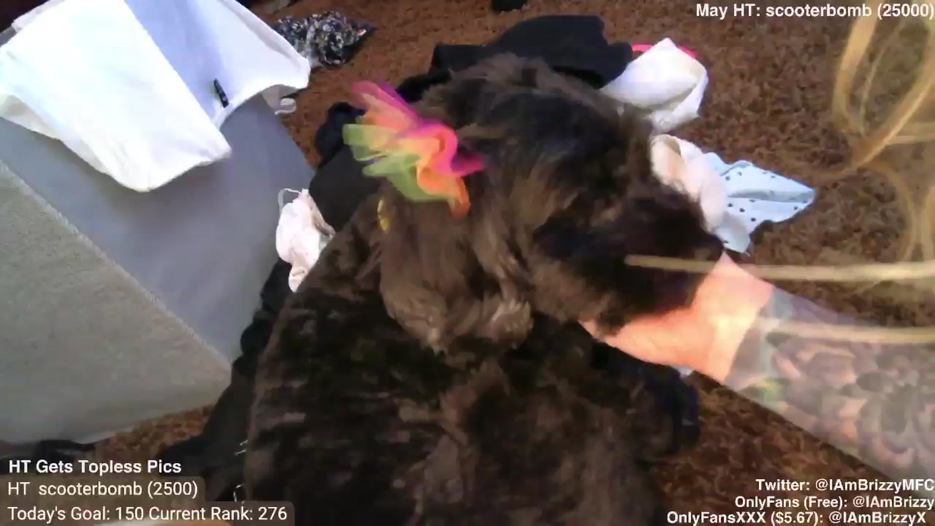 Gallery image thumbnail from Brizzy's myfreecams stream on, 06/01/2024, 19:04 image 3 of 20