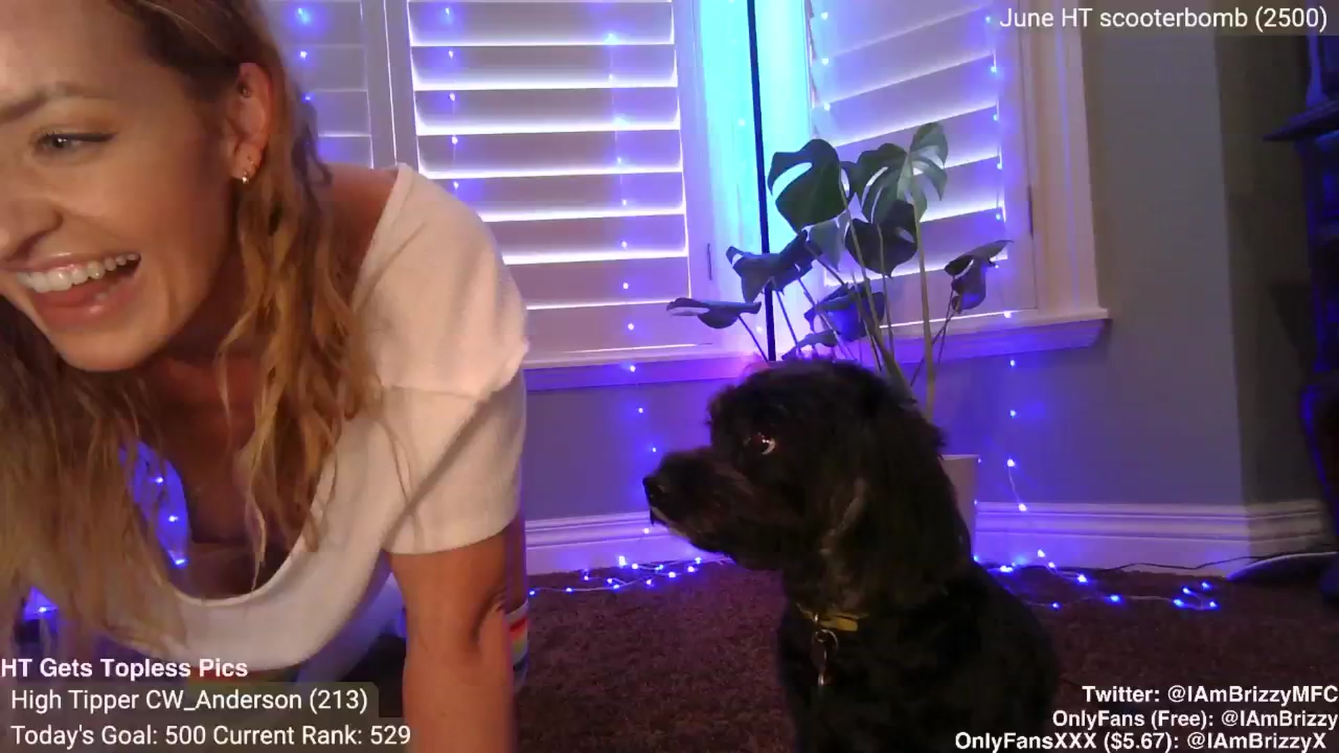 Gallery image thumbnail from Brizzy's myfreecams stream on, 06/02/2024, 19:39 image 4 of 20