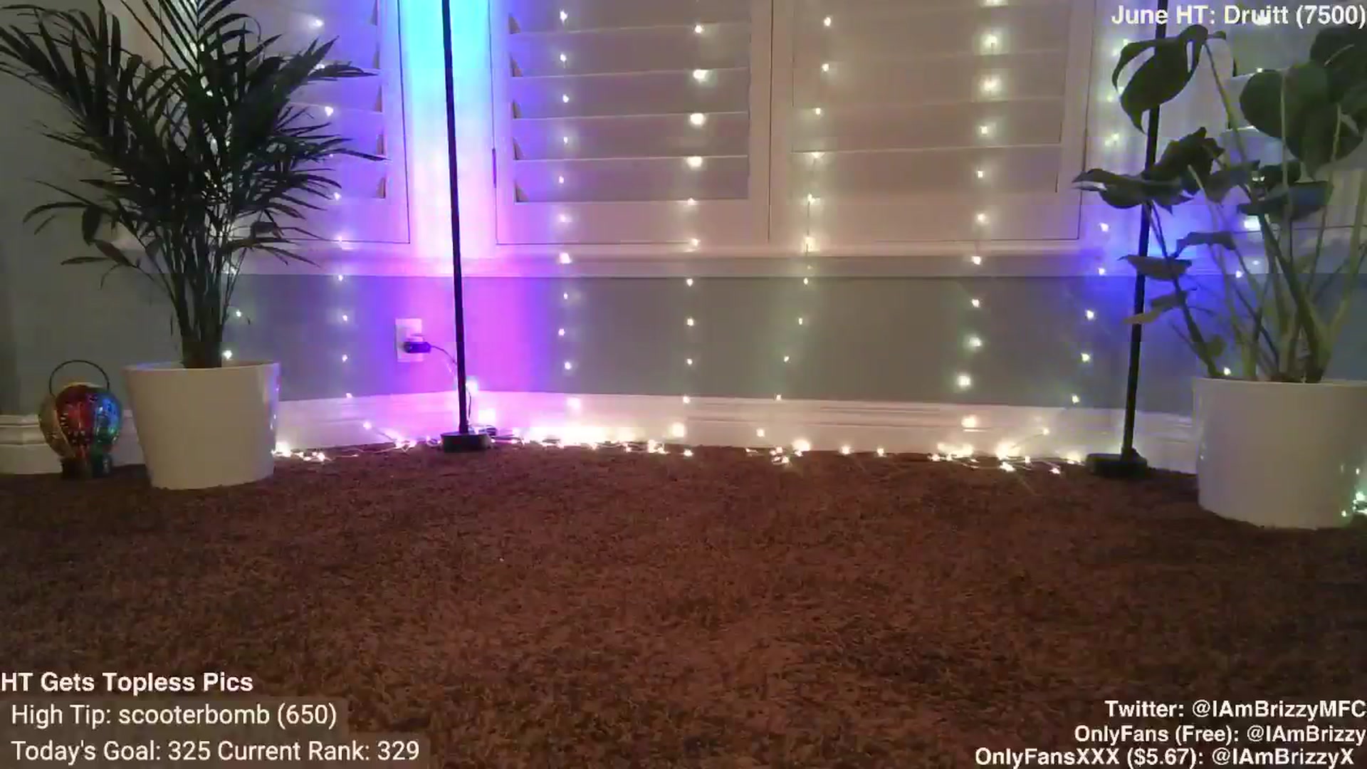 Gallery image thumbnail from Brizzy's myfreecams stream on, 06/12/2024, 04:10 image 12 of 20