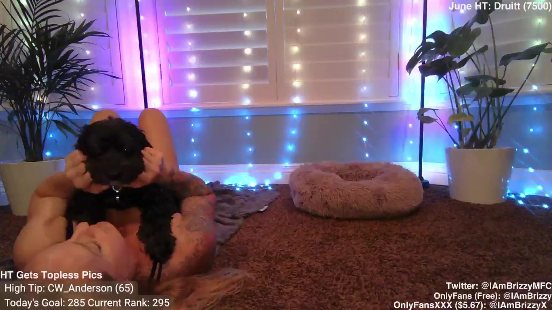 Gallery image thumbnail from Brizzy's myfreecams stream on, 06/22/2024, 04:11 image 5 of 20