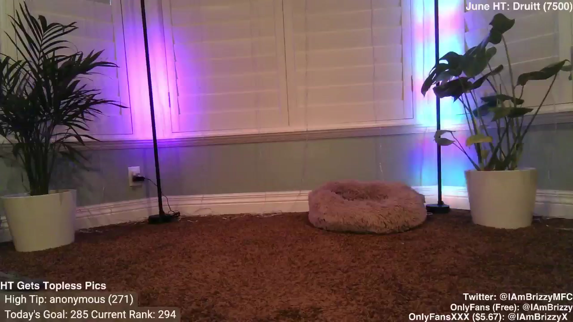 Gallery image thumbnail from Brizzy's myfreecams stream on, 06/22/2024, 04:11 image 12 of 20
