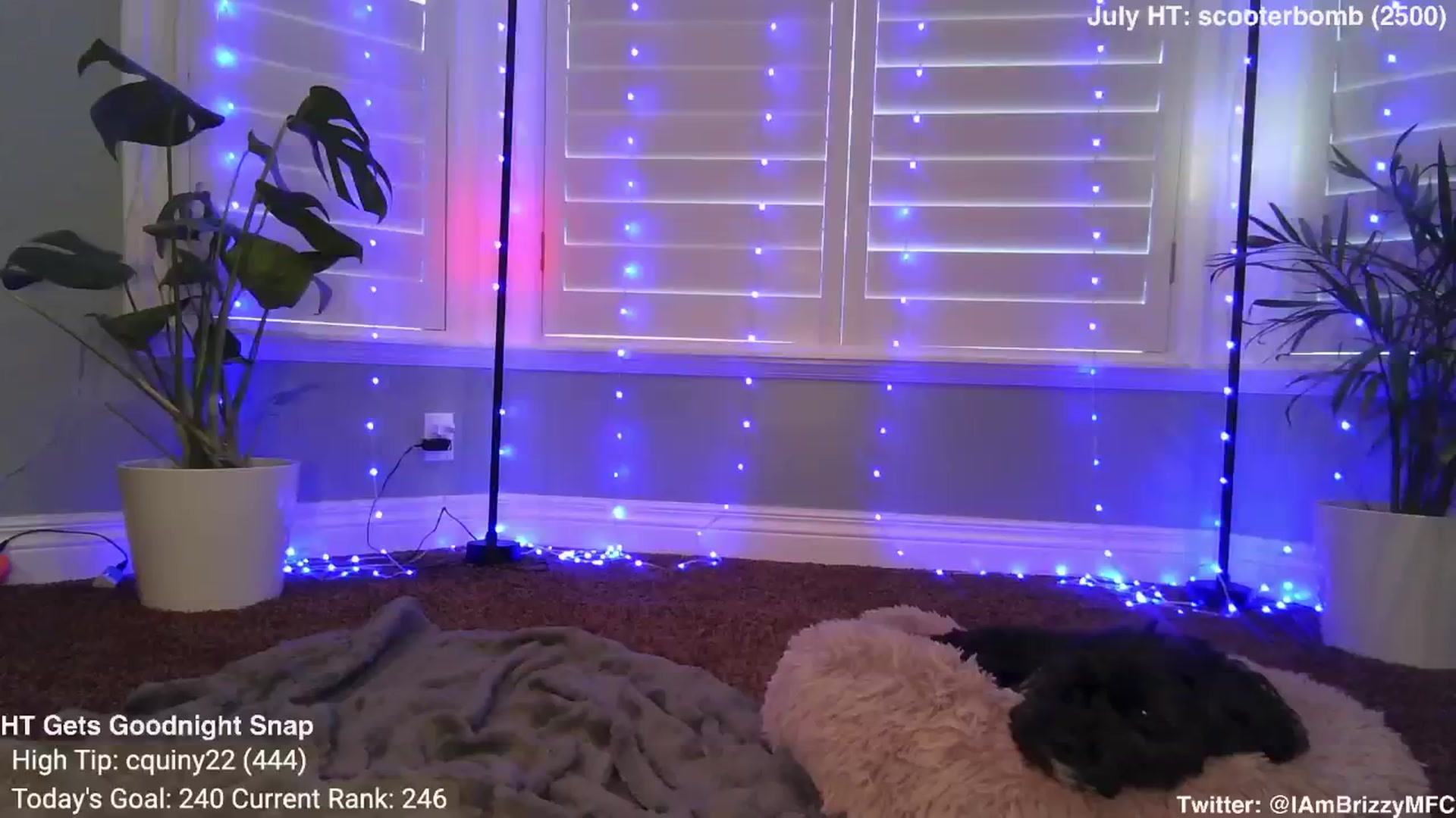 Gallery image thumbnail from Brizzy's myfreecams stream on, 07/13/2024, 20:31 image 16 of 20