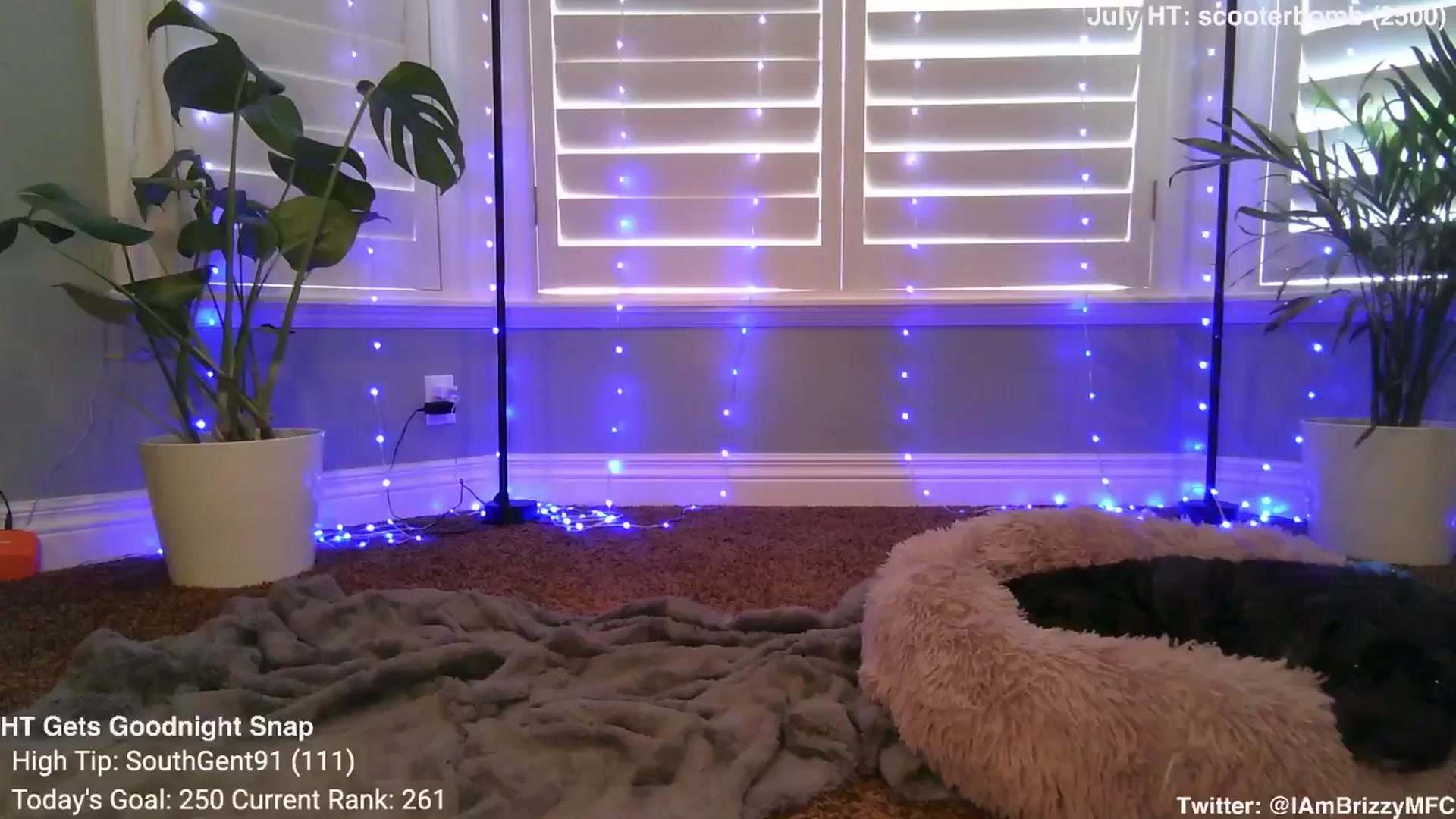 Gallery image thumbnail from Brizzy's myfreecams stream on, 07/21/2024, 18:06 image 15 of 20