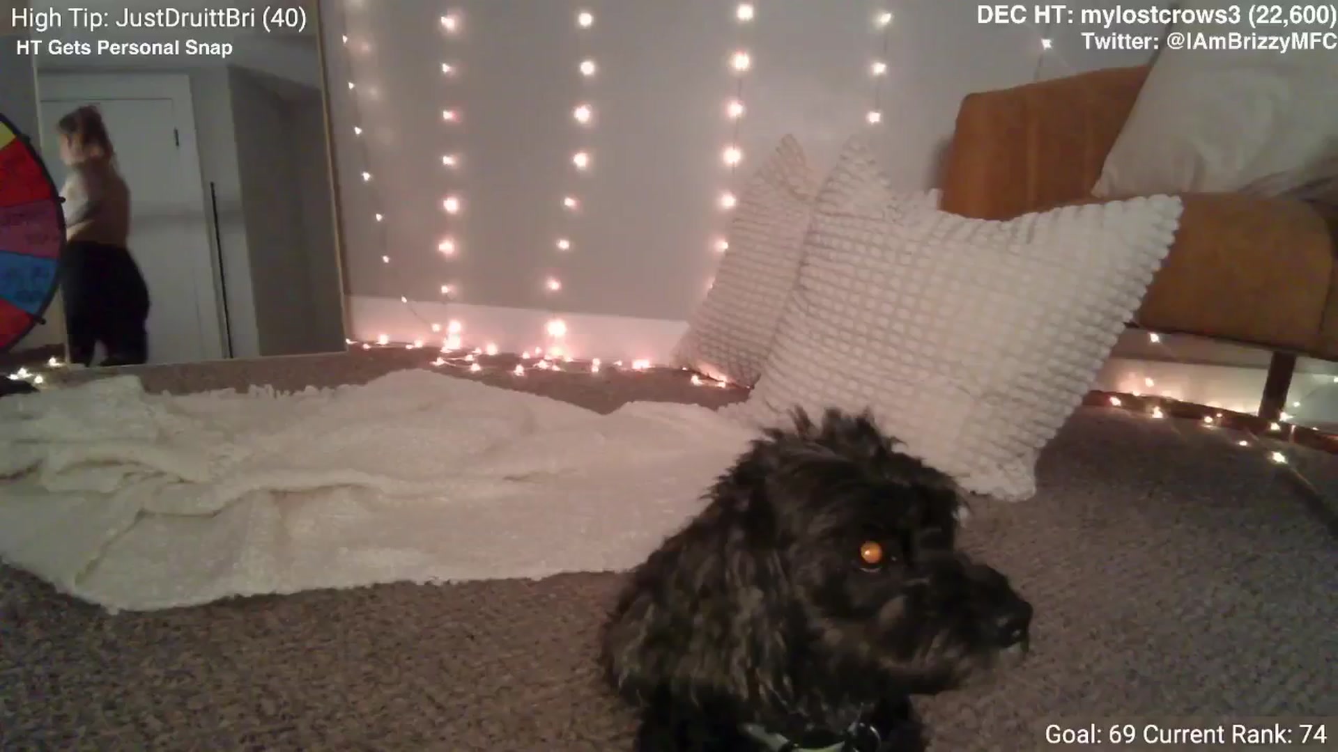 Gallery image thumbnail from Brizzy's myfreecams stream on, 01/01/2025, 05:12 image 4 of 20