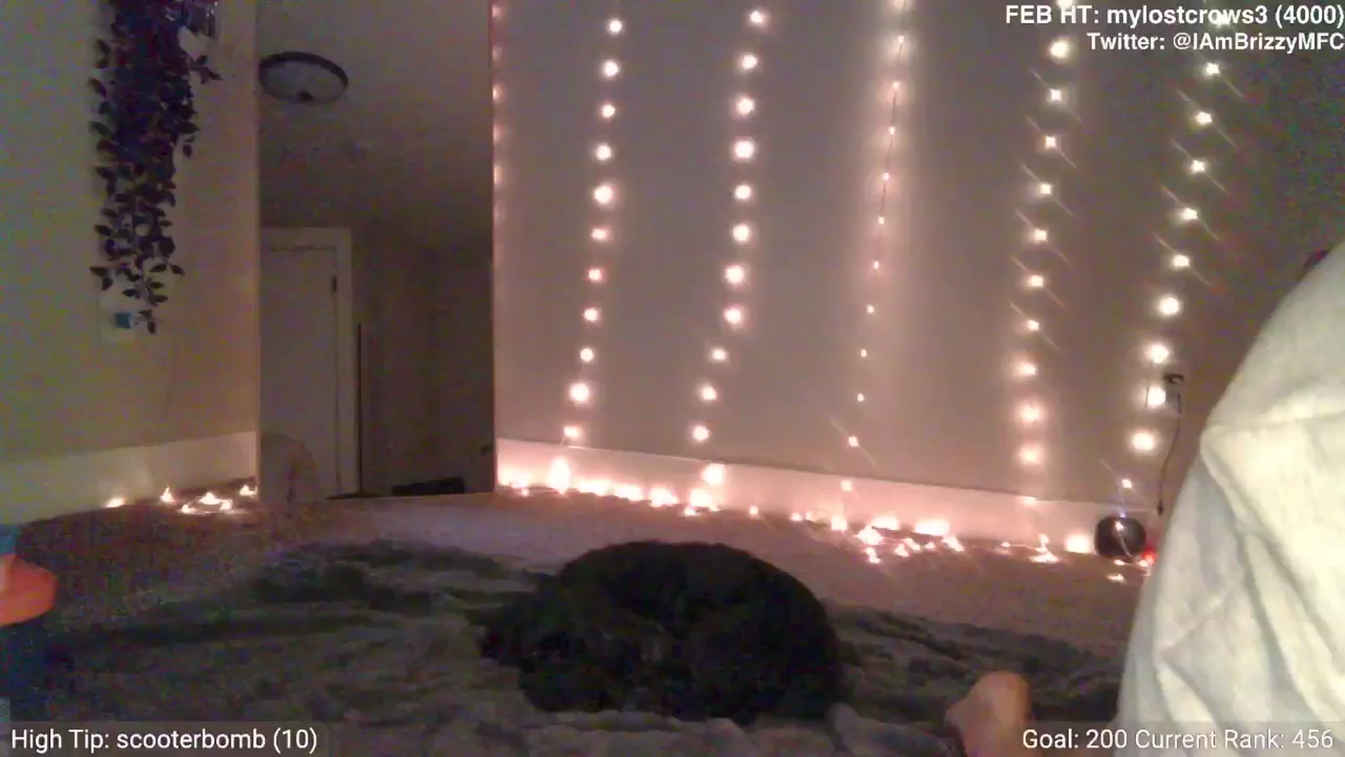 Gallery image thumbnail from Brizzy's myfreecams stream on, 02/02/2025, 19:41 image 4 of 20