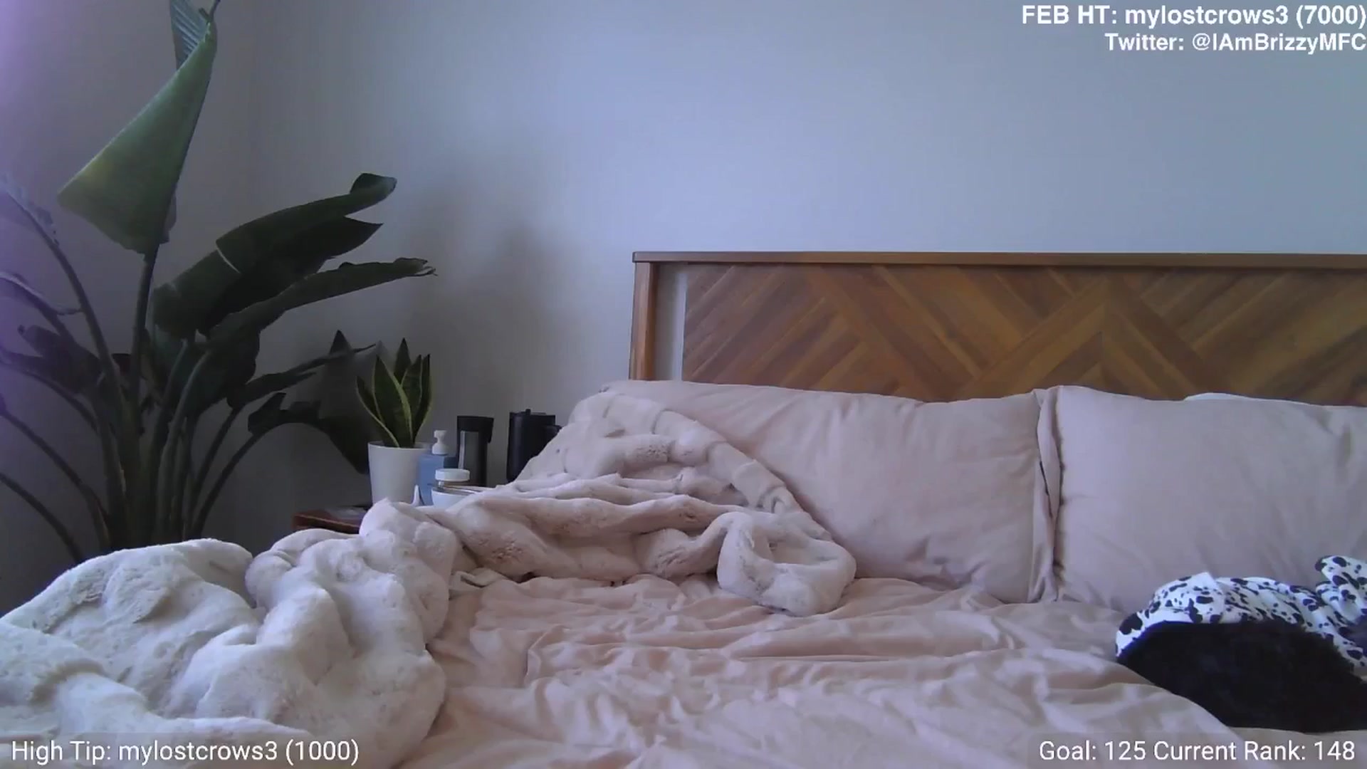 Gallery image thumbnail from Brizzy's myfreecams stream on, 02/09/2025, 22:16 image 16 of 20