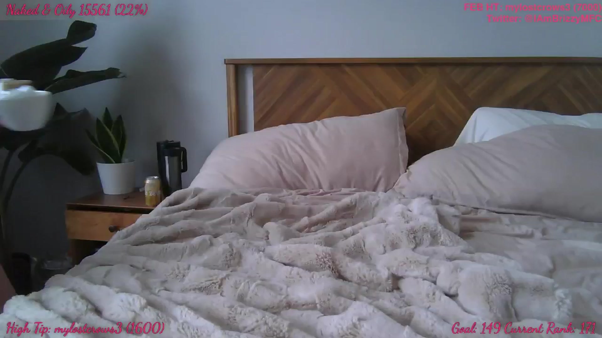 Gallery image thumbnail from Brizzy's myfreecams stream on, 02/19/2025, 21:58 image 15 of 20