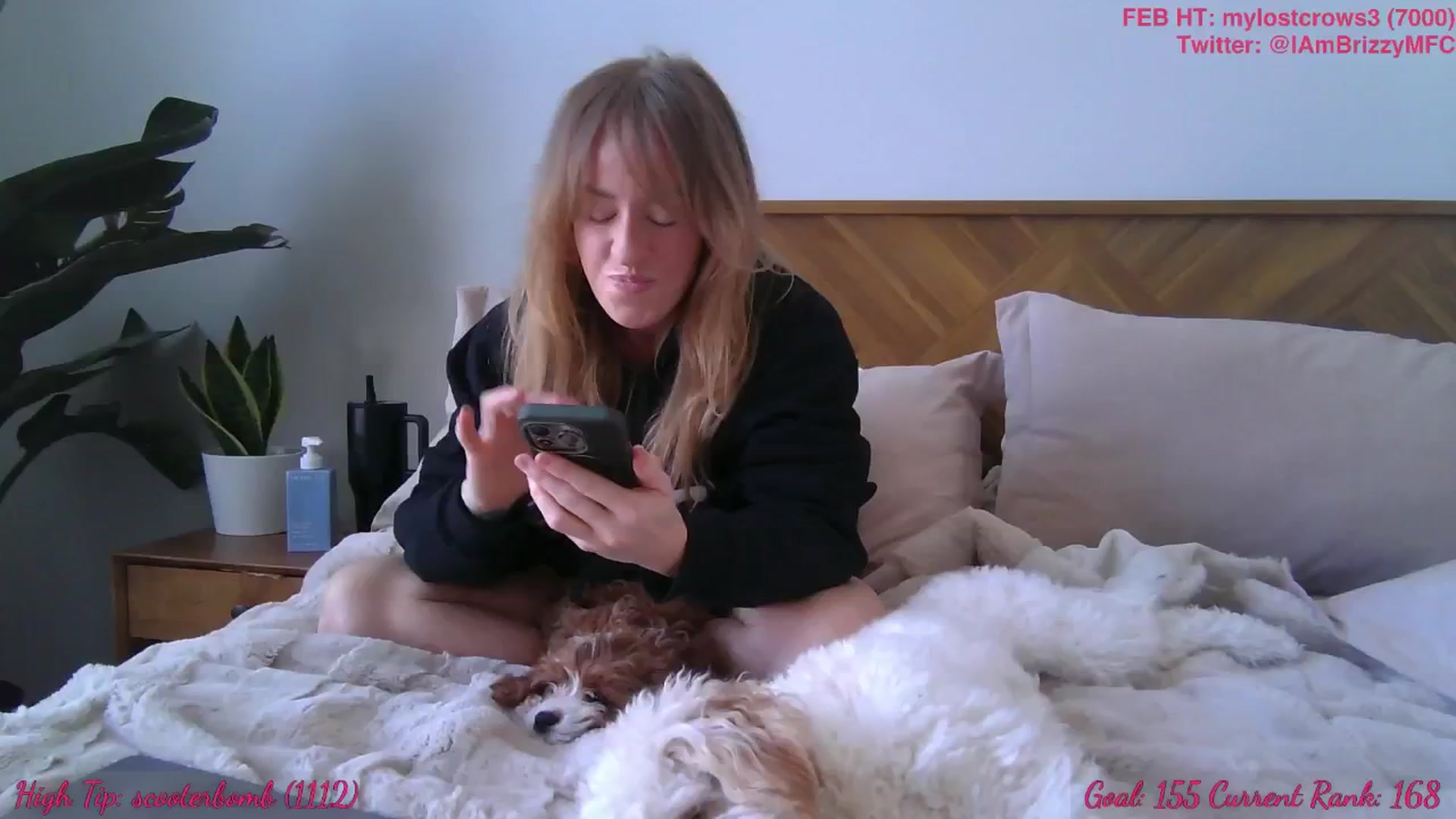 Gallery image thumbnail from Brizzy's myfreecams stream on, 02/24/2025, 21:11 image 5 of 20